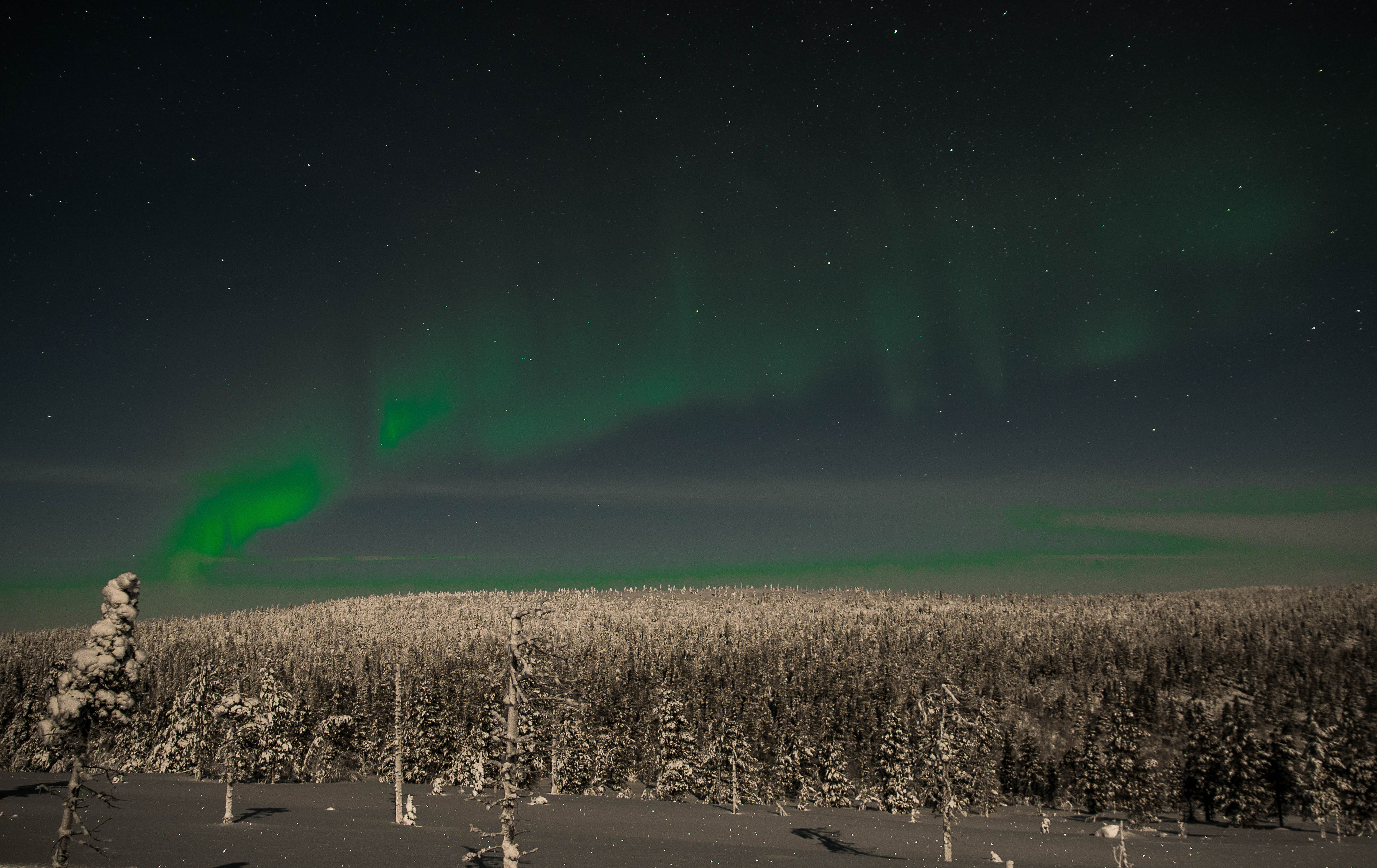 noorderlicht-lapland