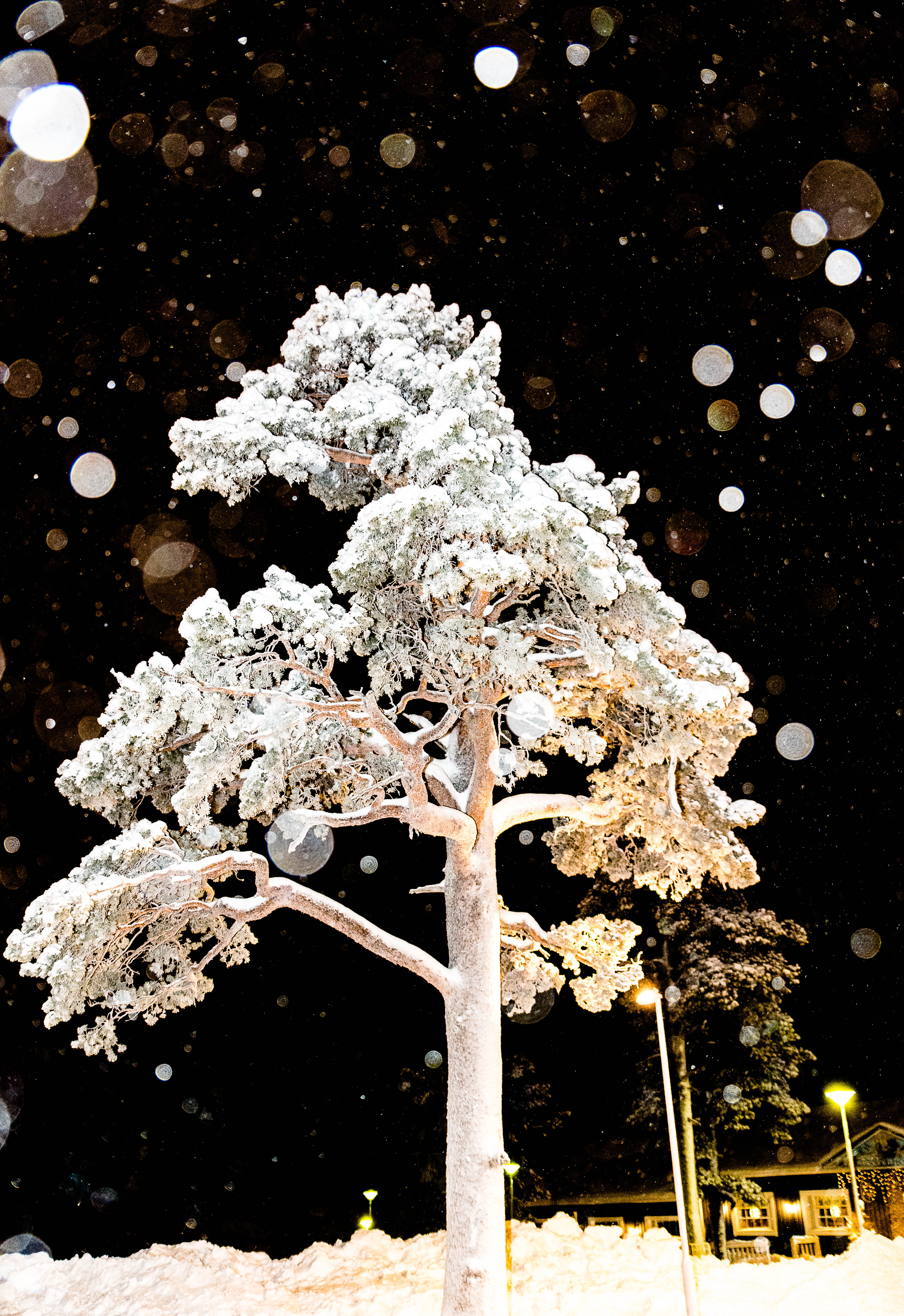 avontuurlijk-lapland