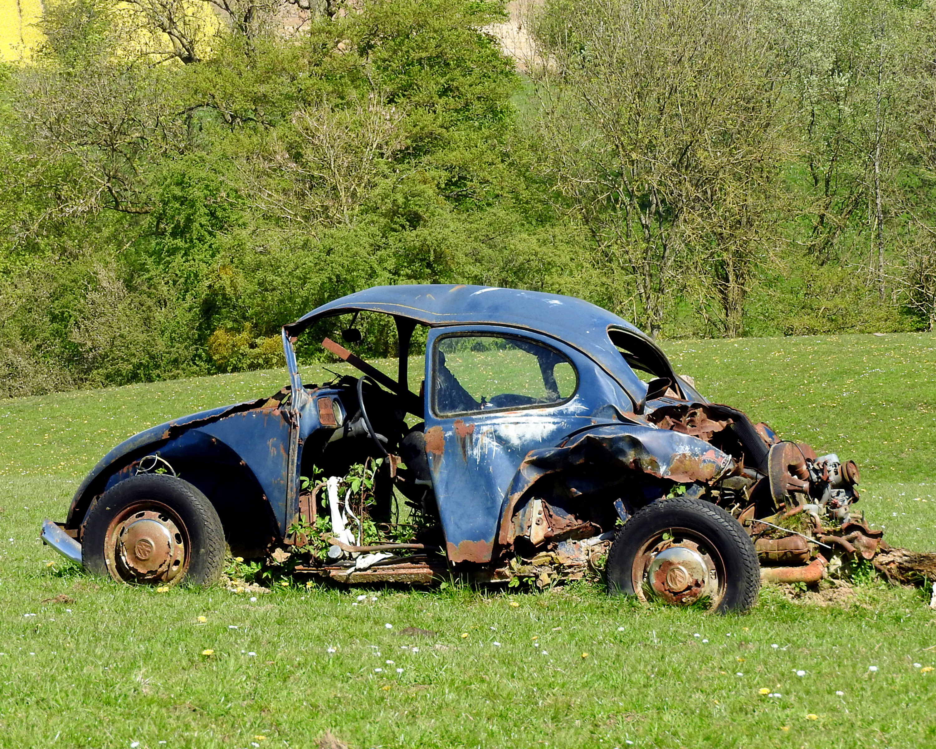 de-vergeten-vw-kever