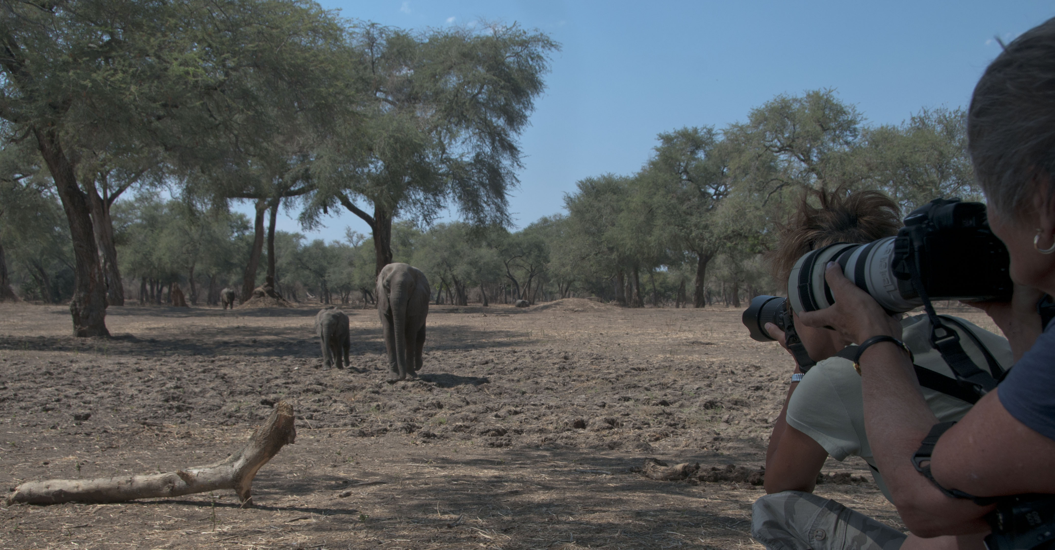 mijn-avontuur-in-mana-pools-in-zimbabwe
