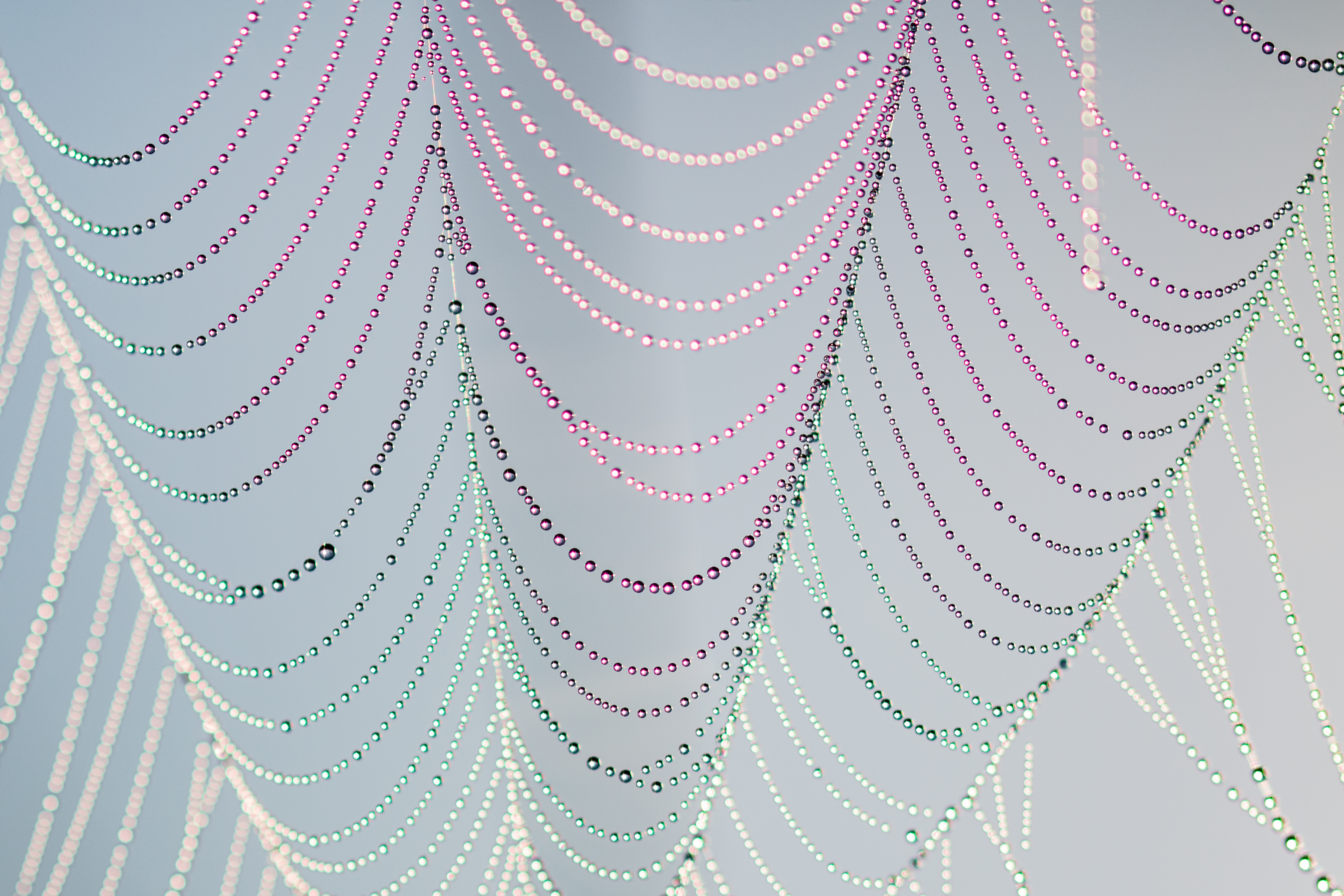 parels-van-de-natuur