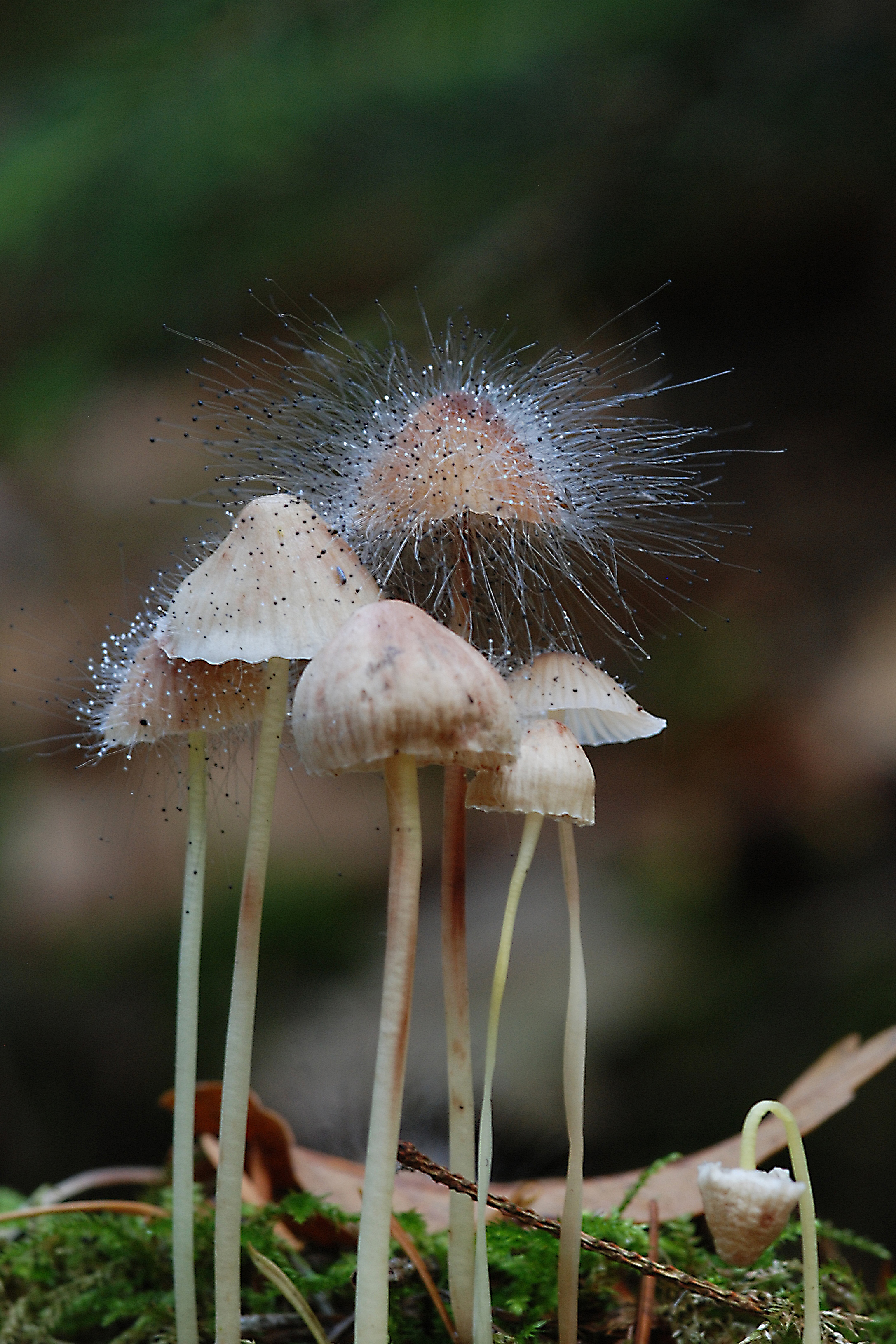 het-feest-van-de-herfst