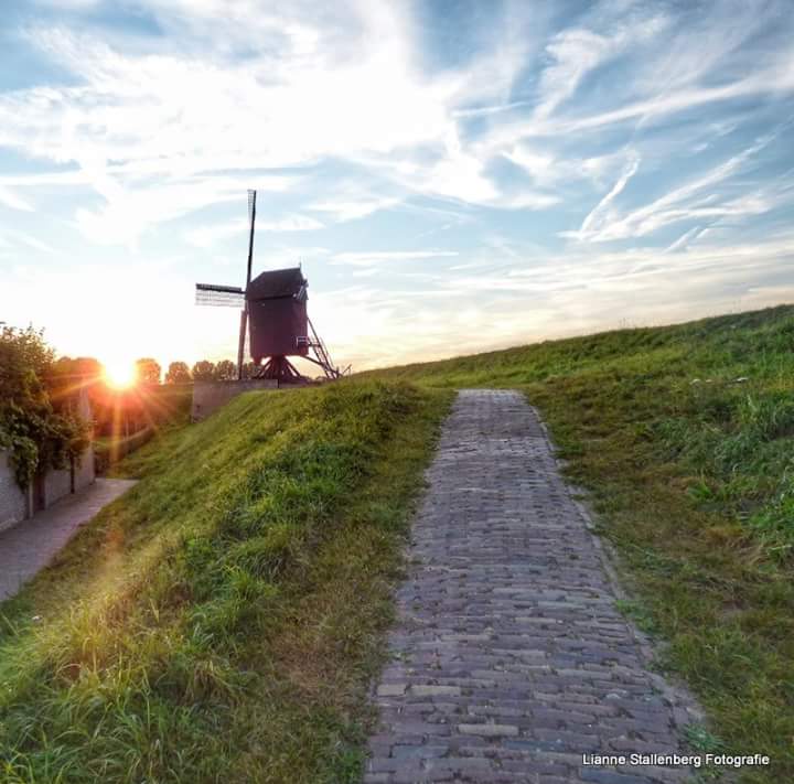 dutch-sunset-1