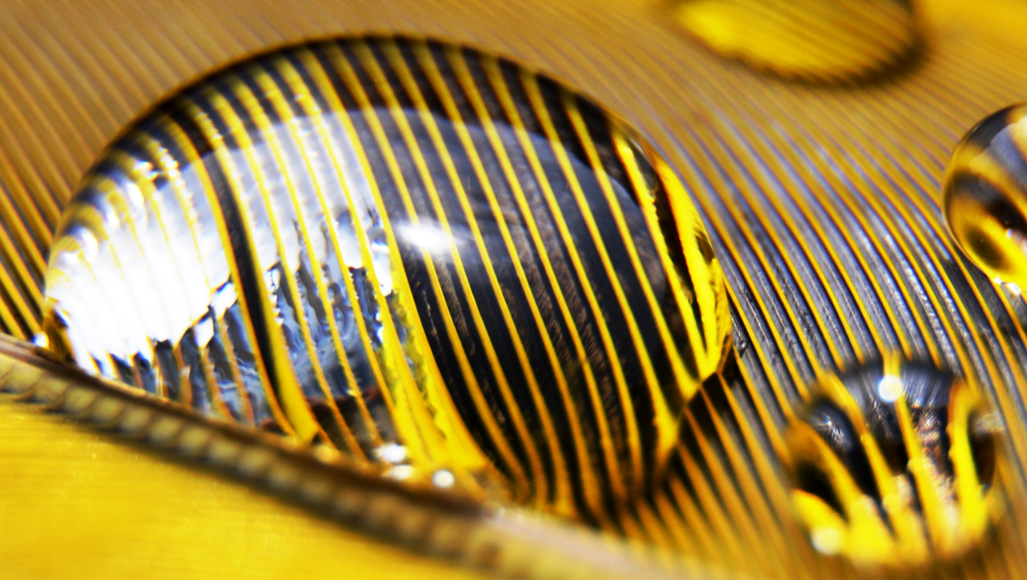 water-druppel-op-een-eende-veer