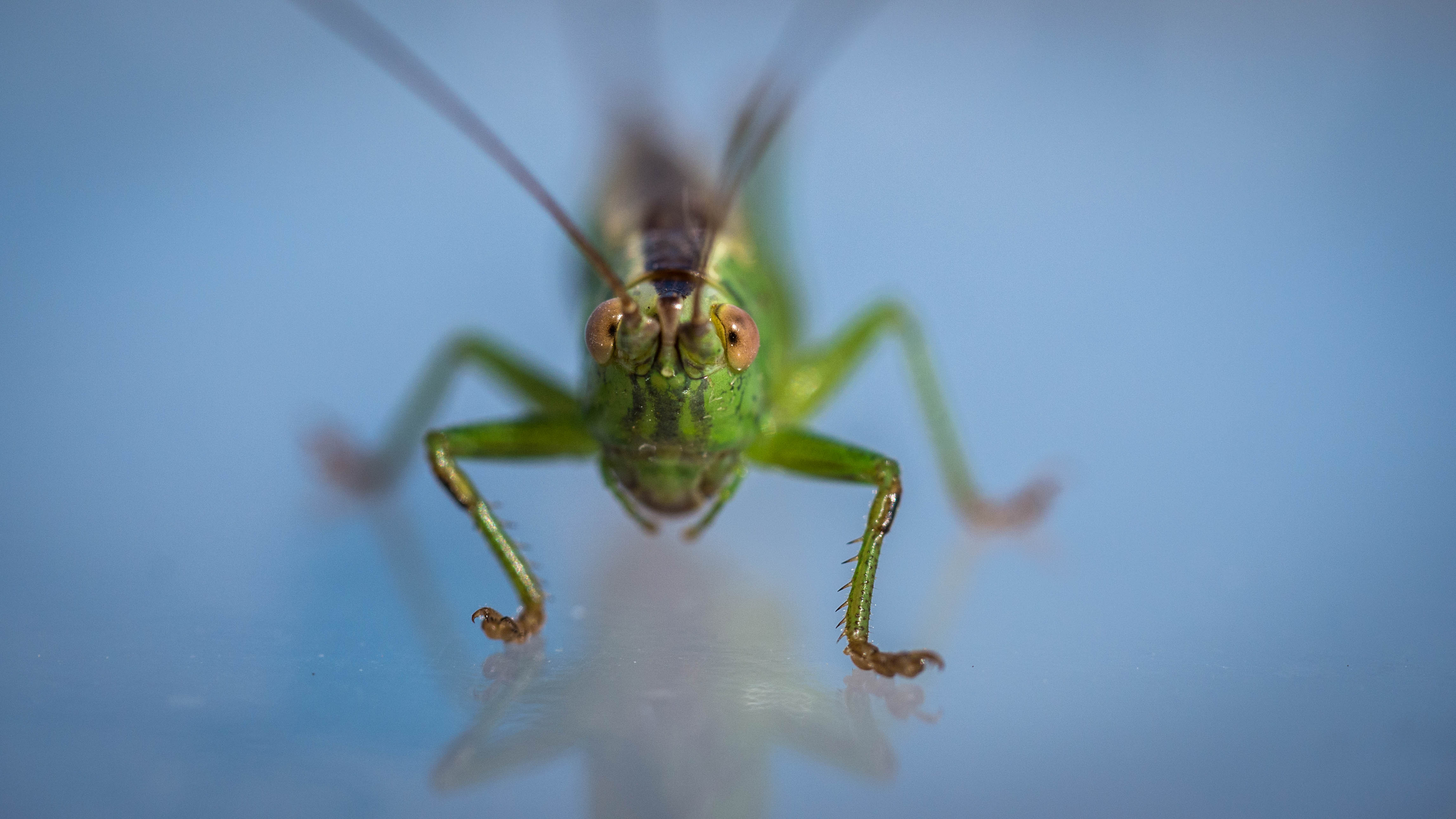 kijk-diep-in-mijn-ogen
