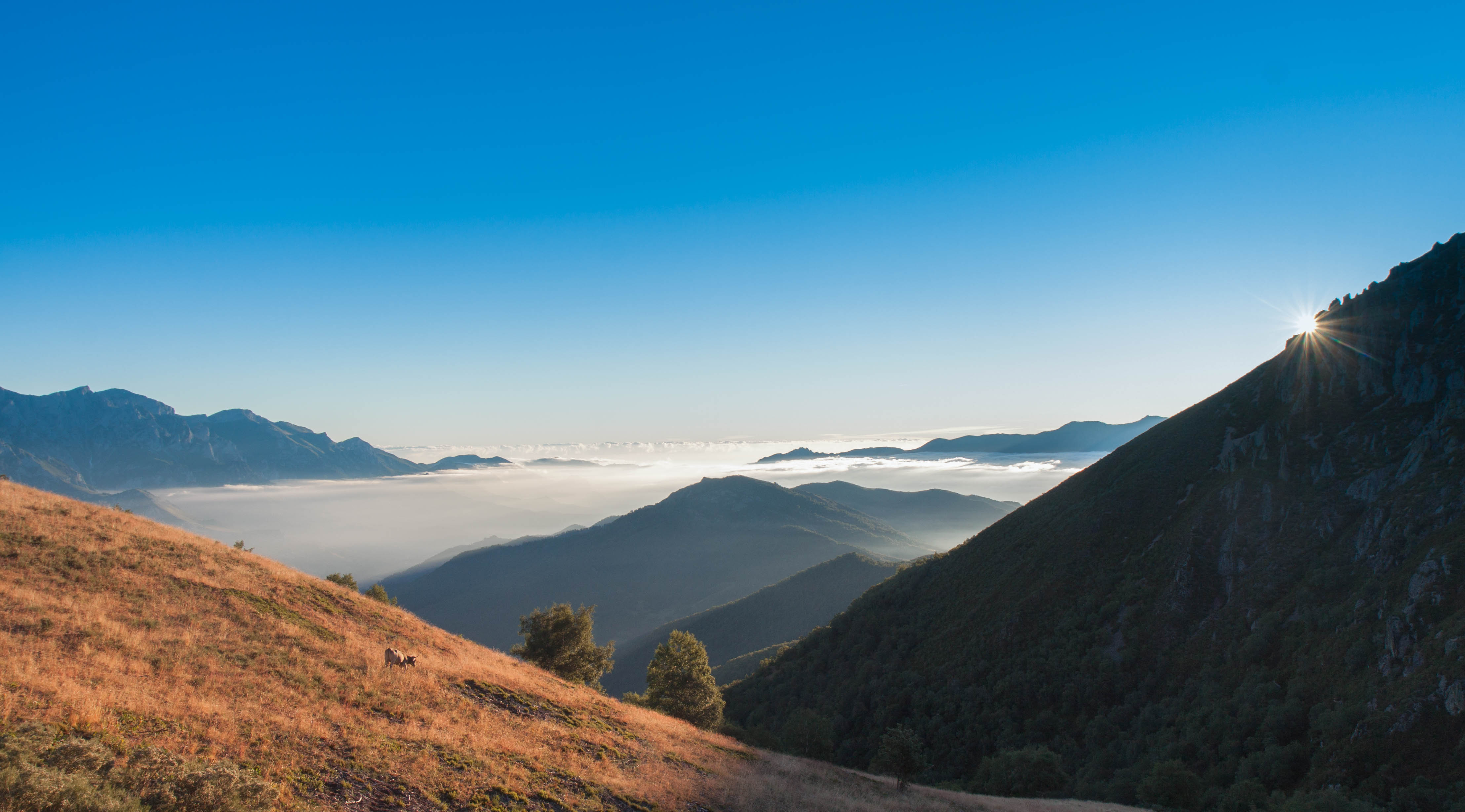 rise-and-shine-picos-de-europe