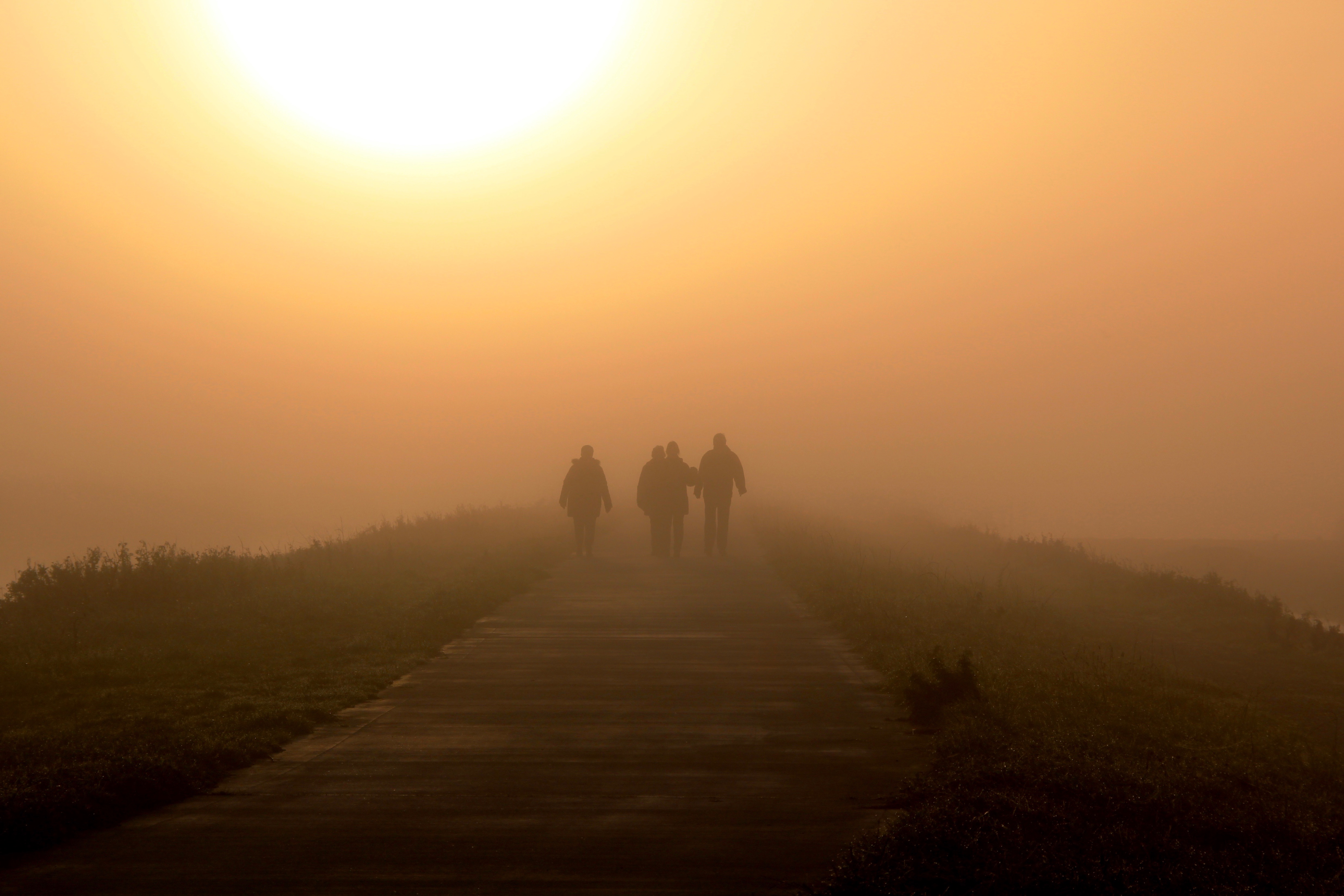 naderende-schimmen-in-de-mist