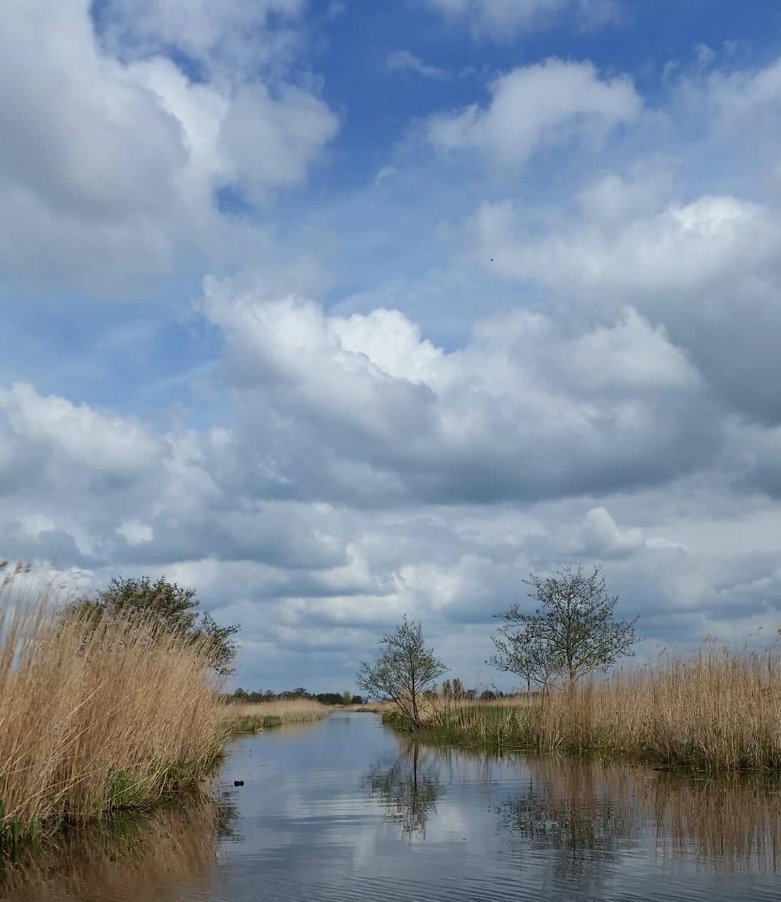 nieuwkoopse-plassen-0