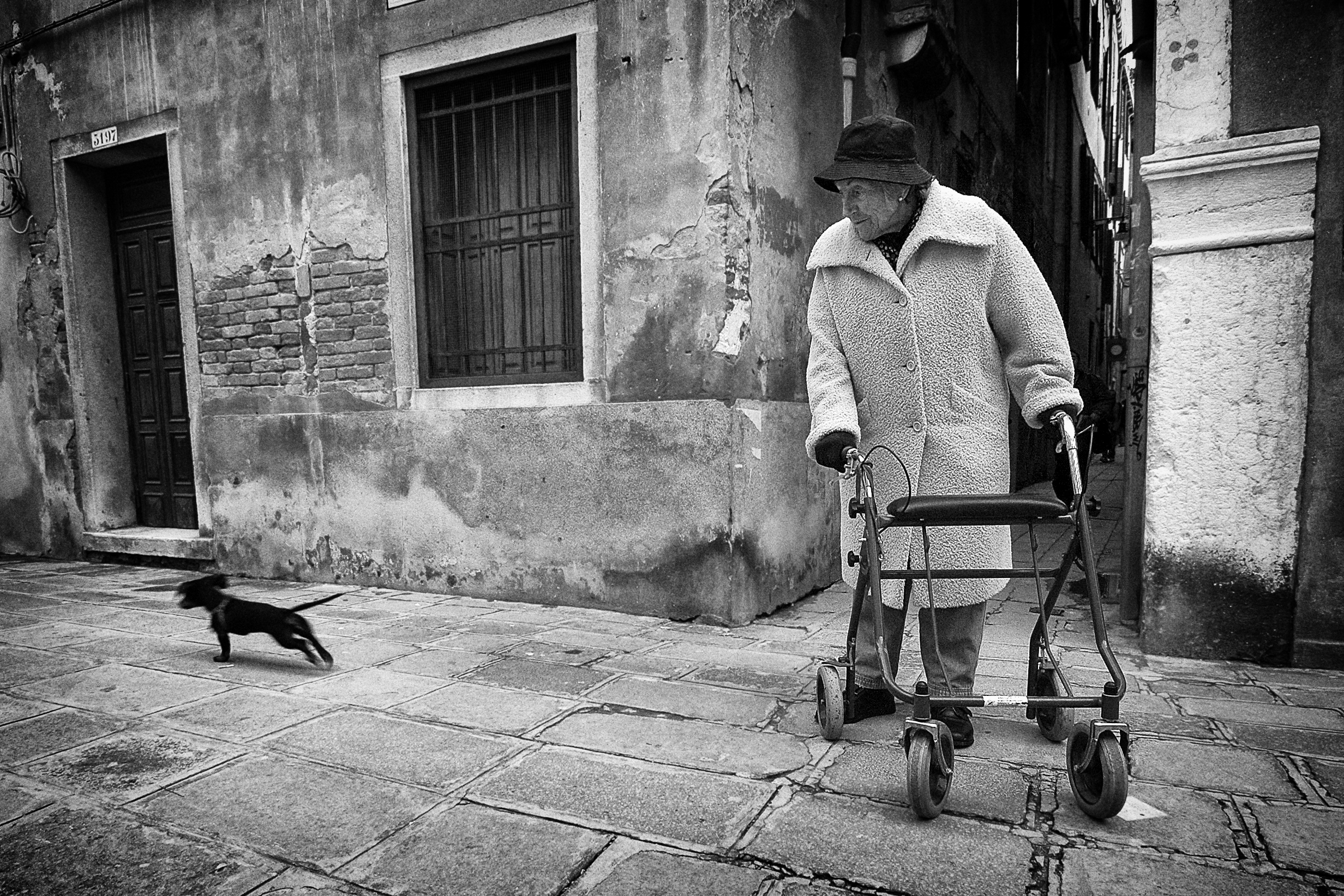 de-dame-en-het-hondje