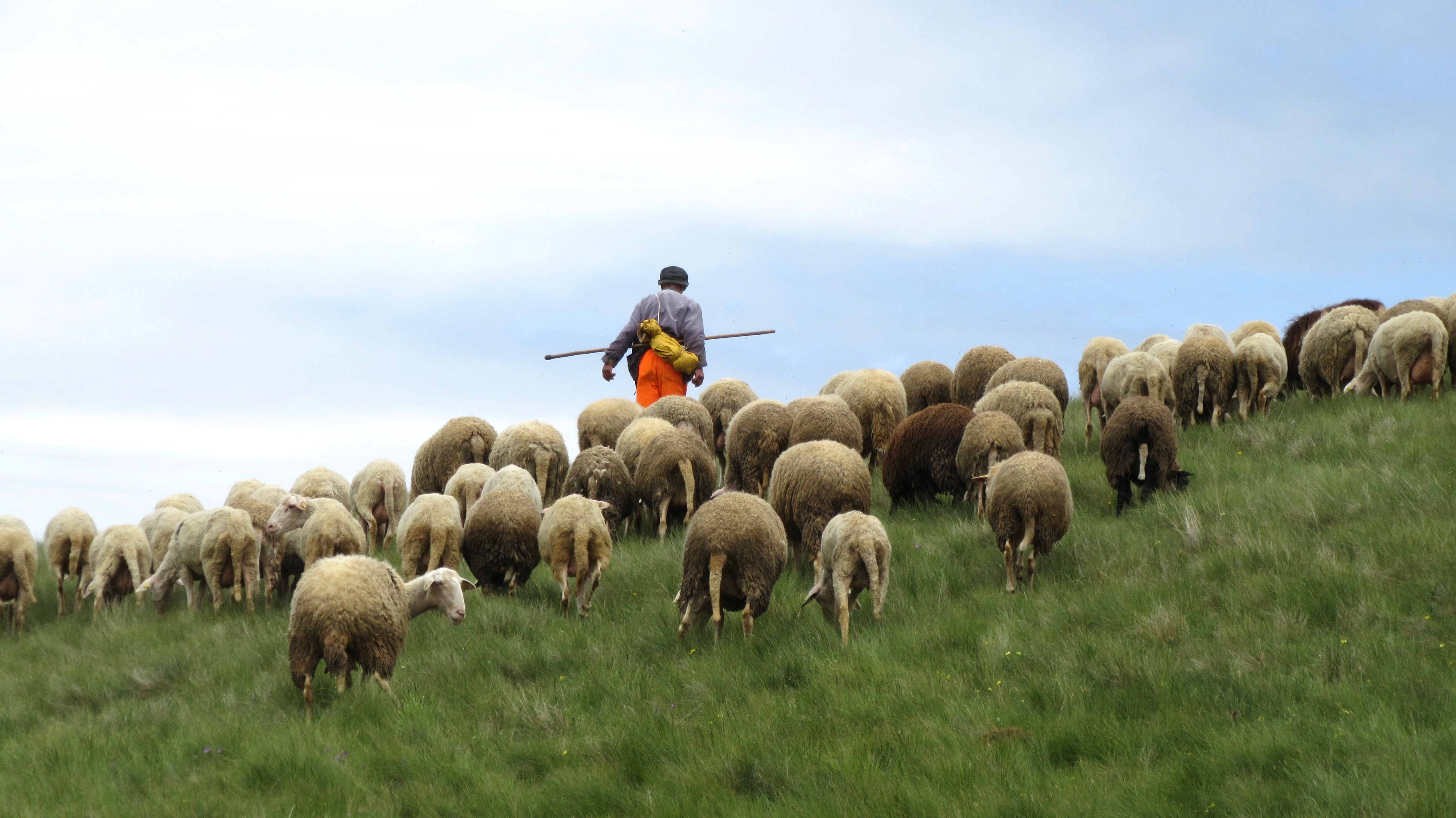 eenzaam-maar-niet-alleen-3