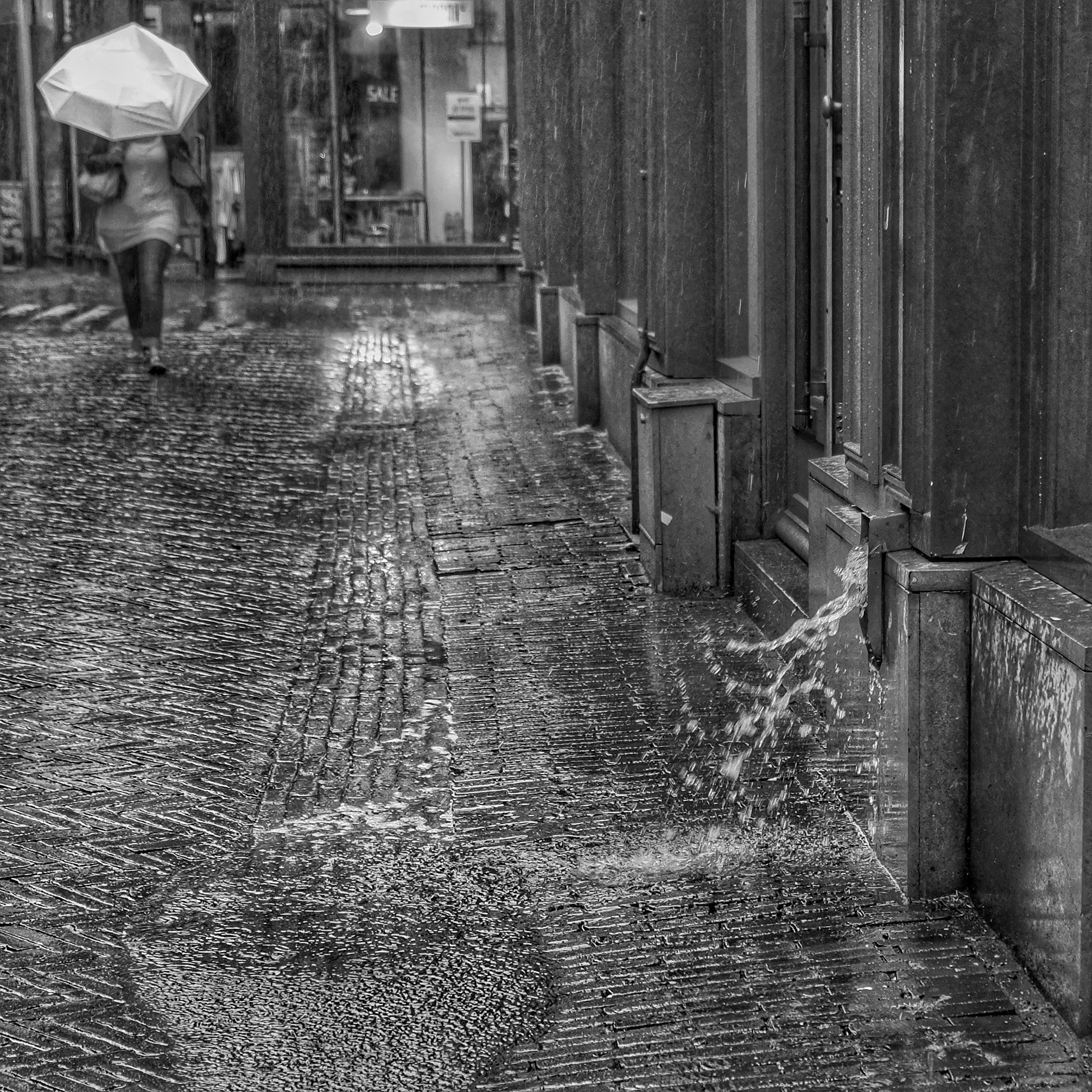 rainy-day-in-haarlem