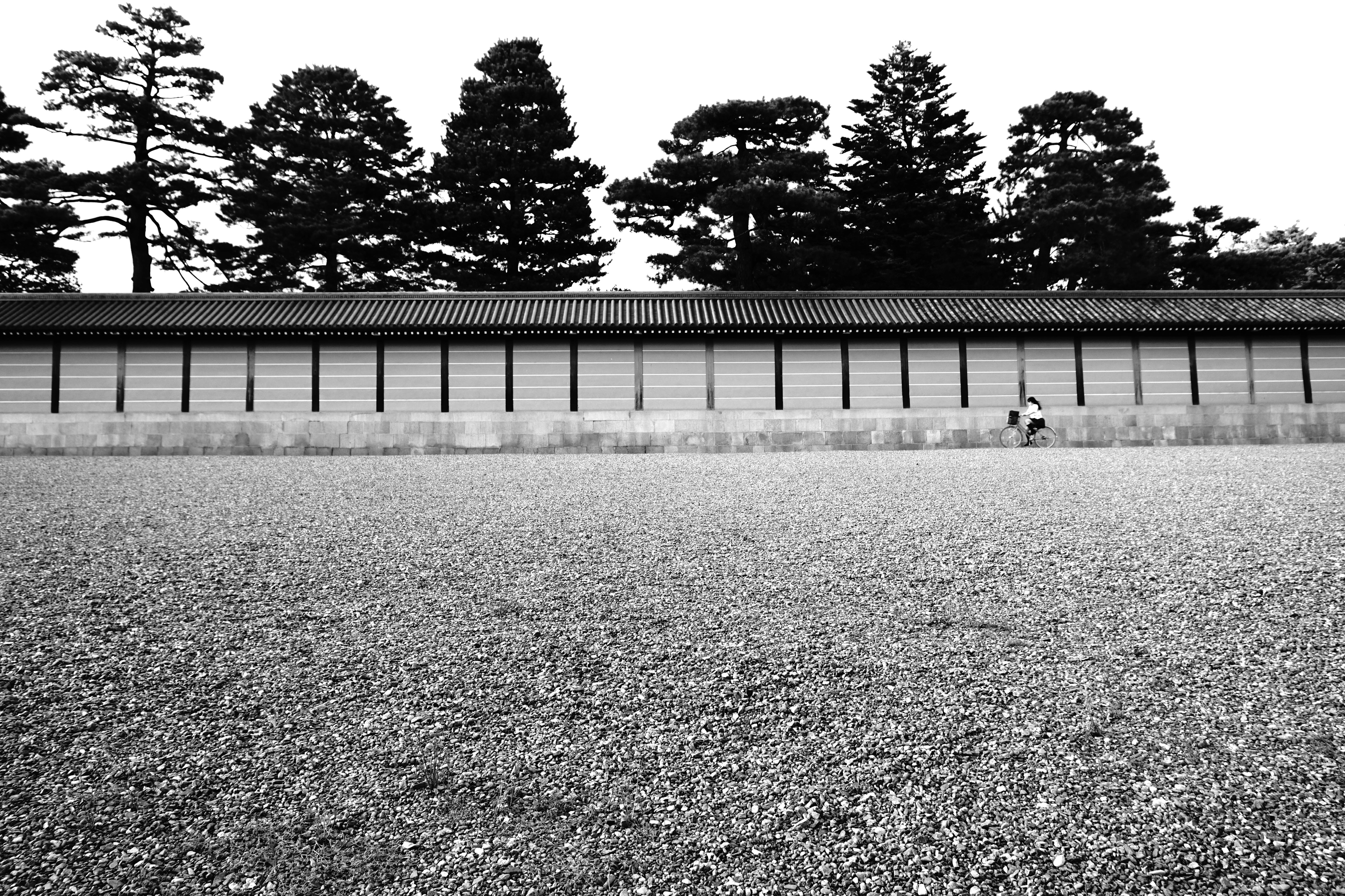 bicycle-girl-in-kyoto