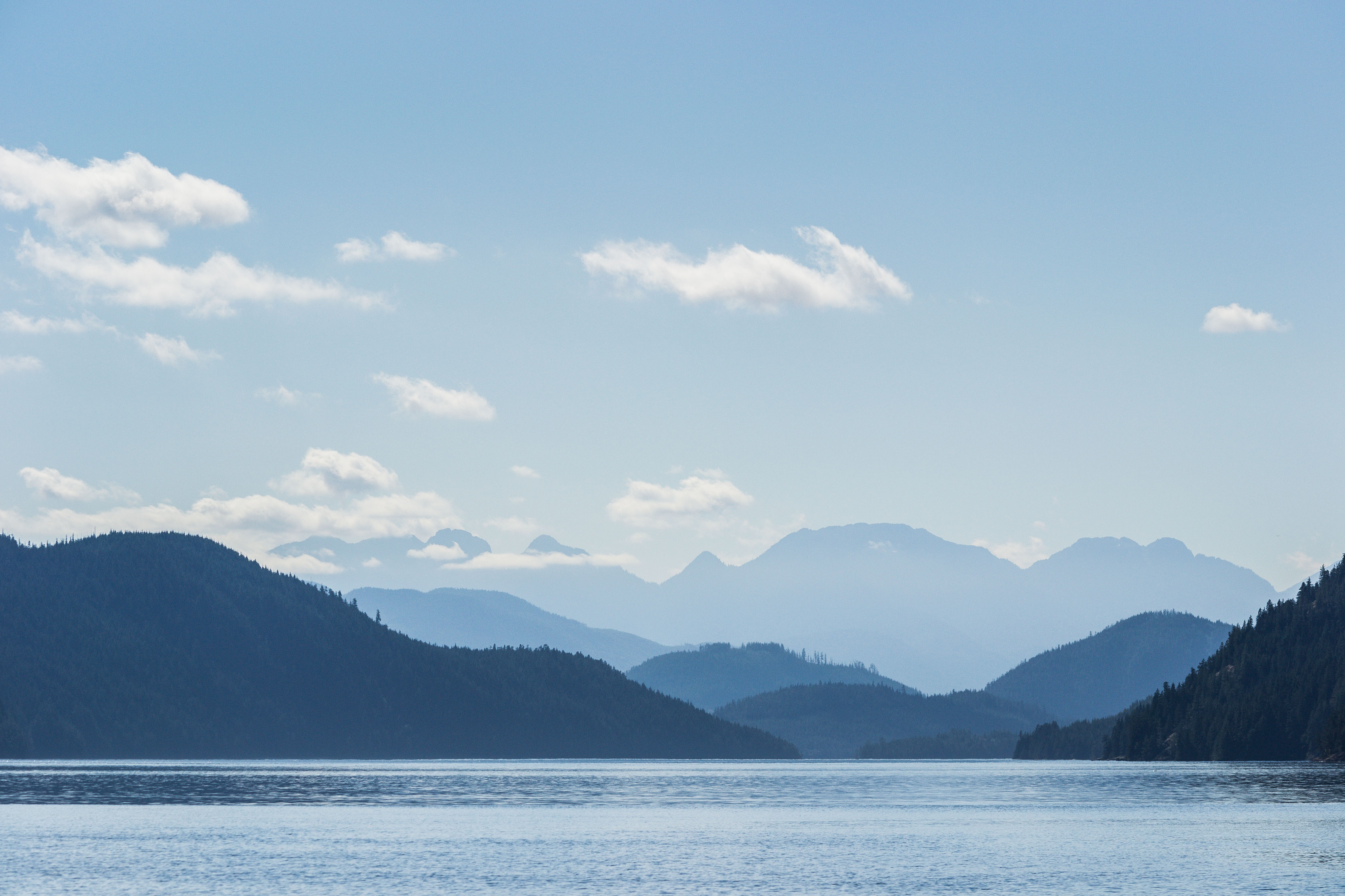 op-zoek-naar-walvissen-bij-vancouver-island