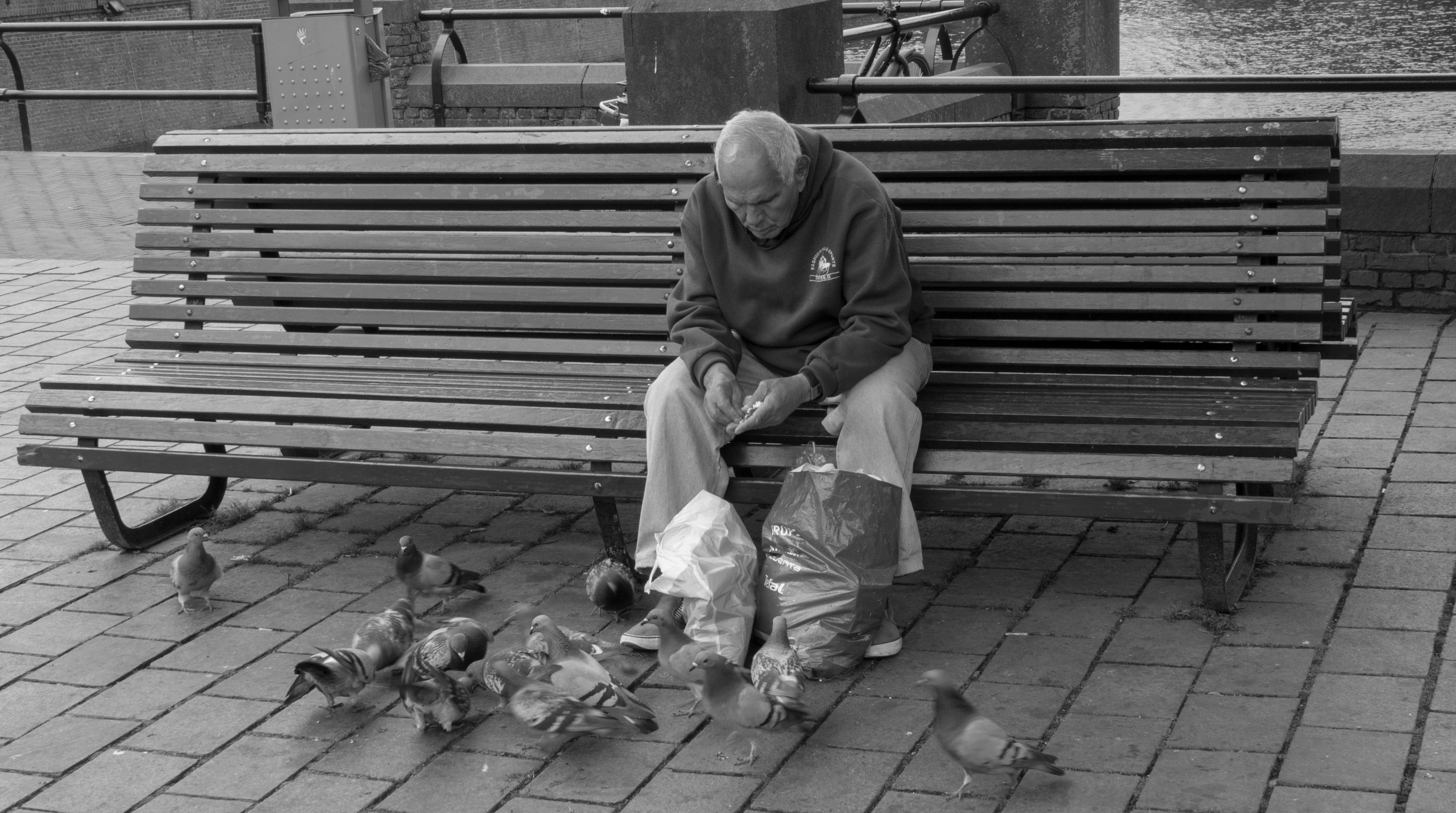 het-voeren-van-zijn-duiven-op-het-buitenhof