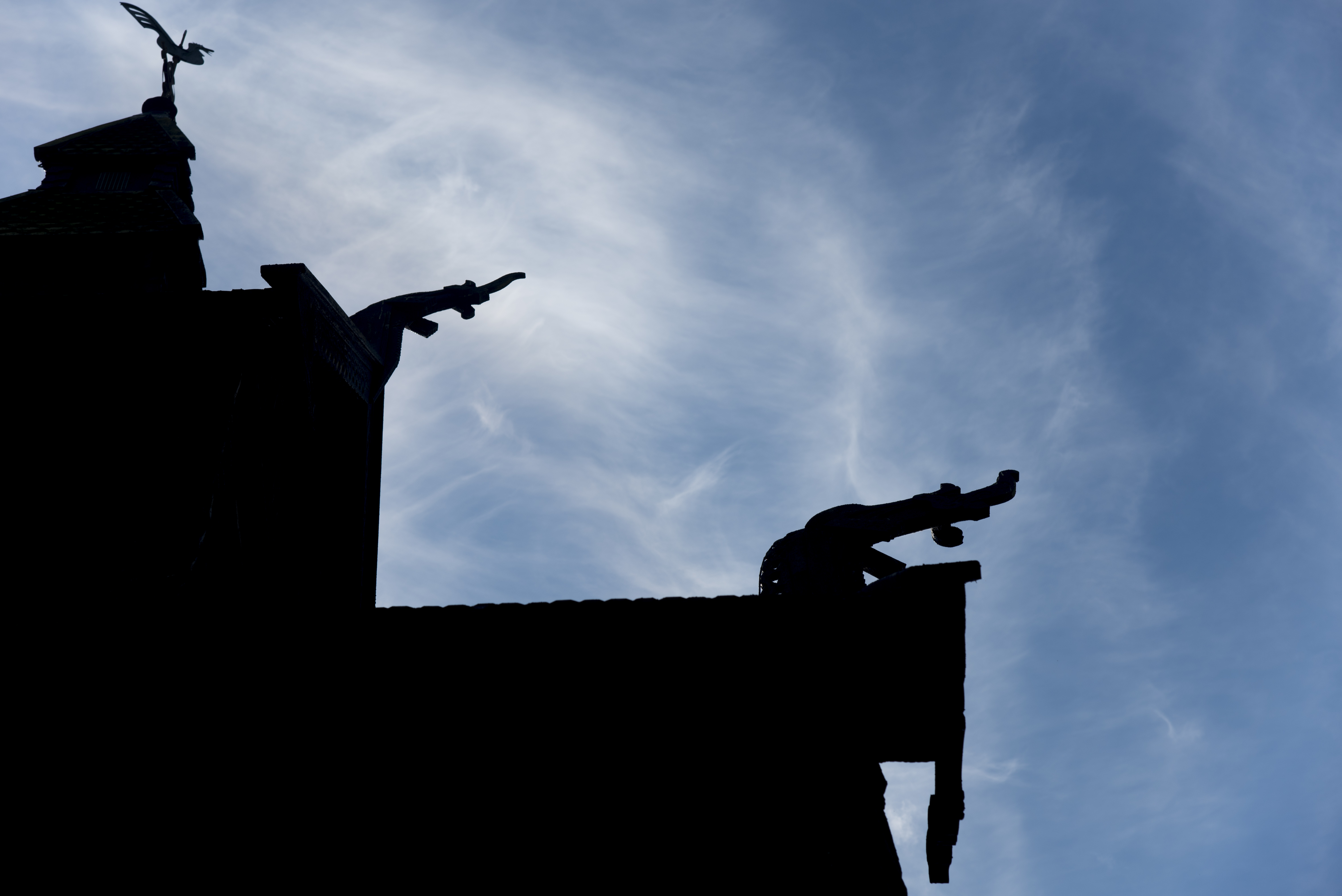 silhouet-in-aquablauw