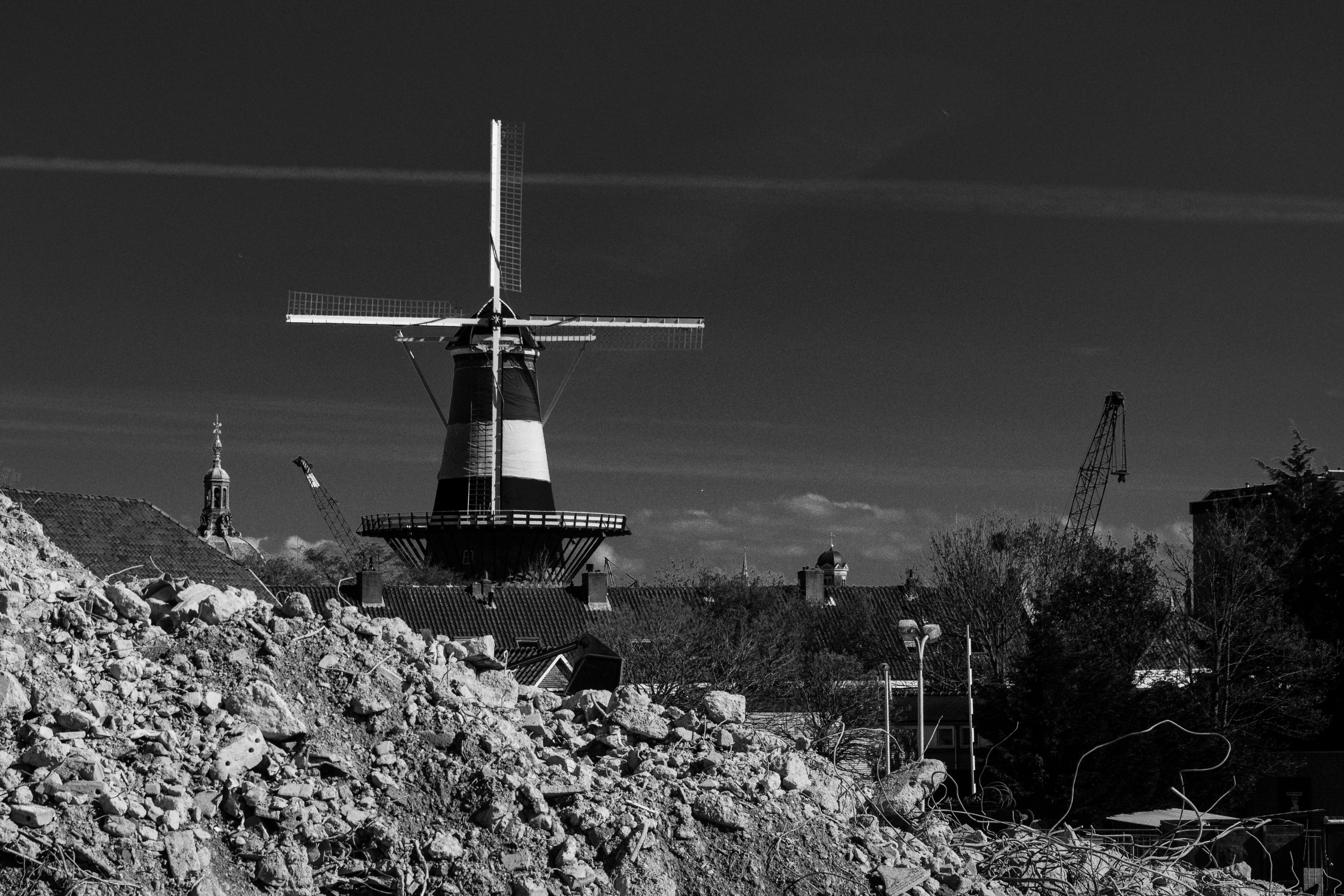 fenixs-rijst-uit-zijn-as