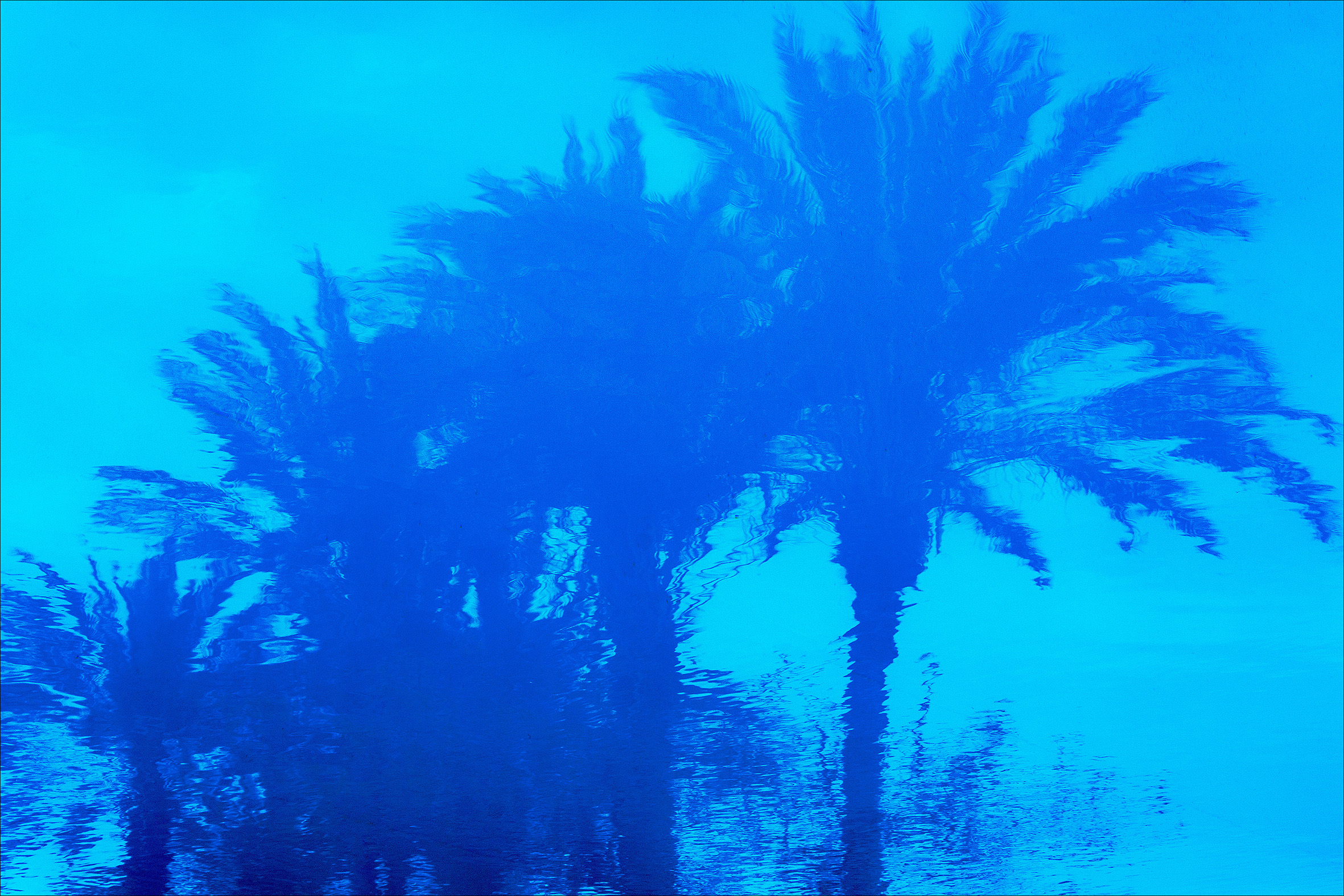 reflection-in-the-pool