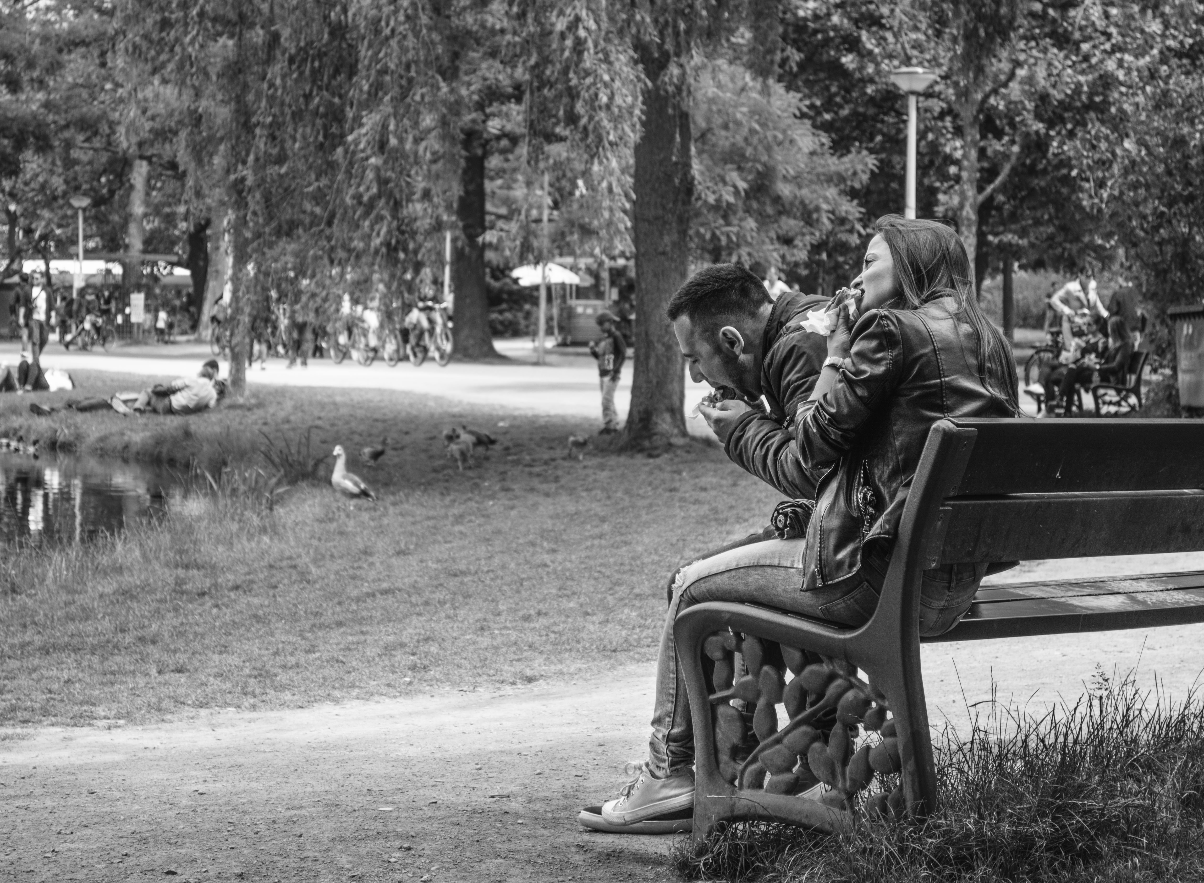 lunchen-in-het-vondelpark