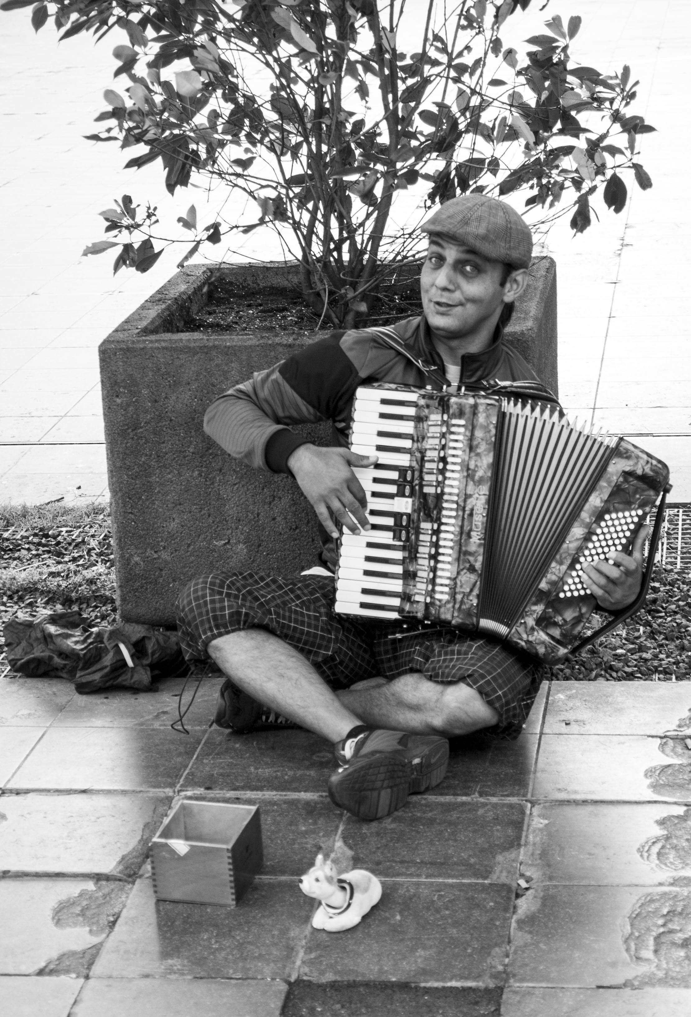 accordionspeler