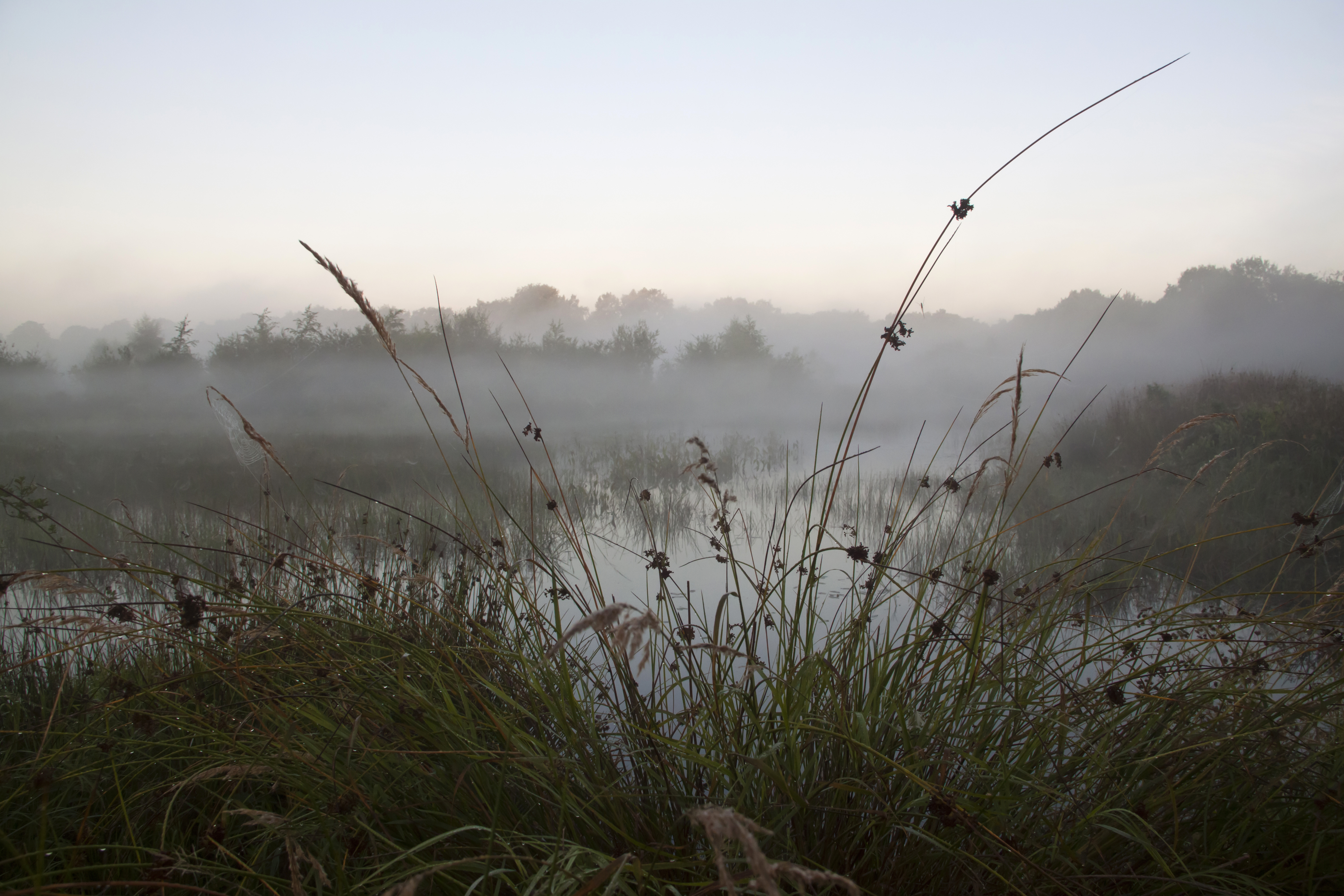 early-in-the-morning