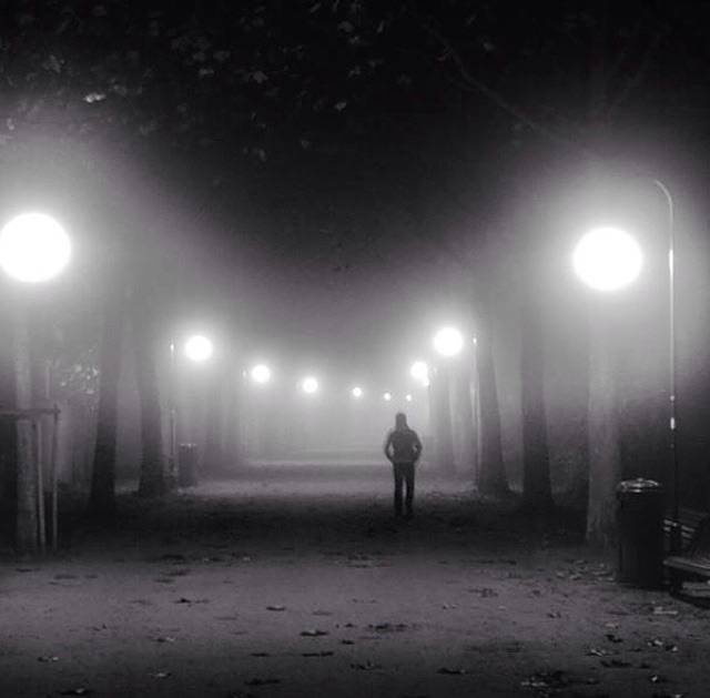 foggy-night-at-the-park