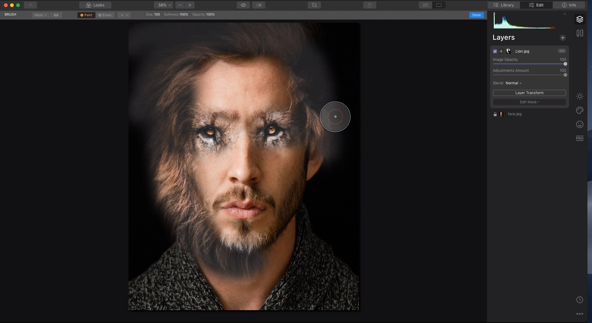 van-man-naar-leeuw-in-vier-minuten-met-luminar-4