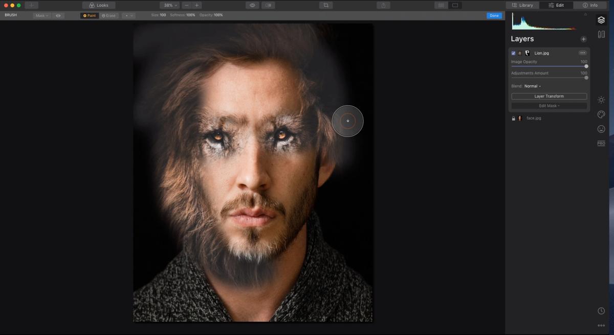 van-man-naar-leeuw-in-vier-minuten-met-luminar-4
