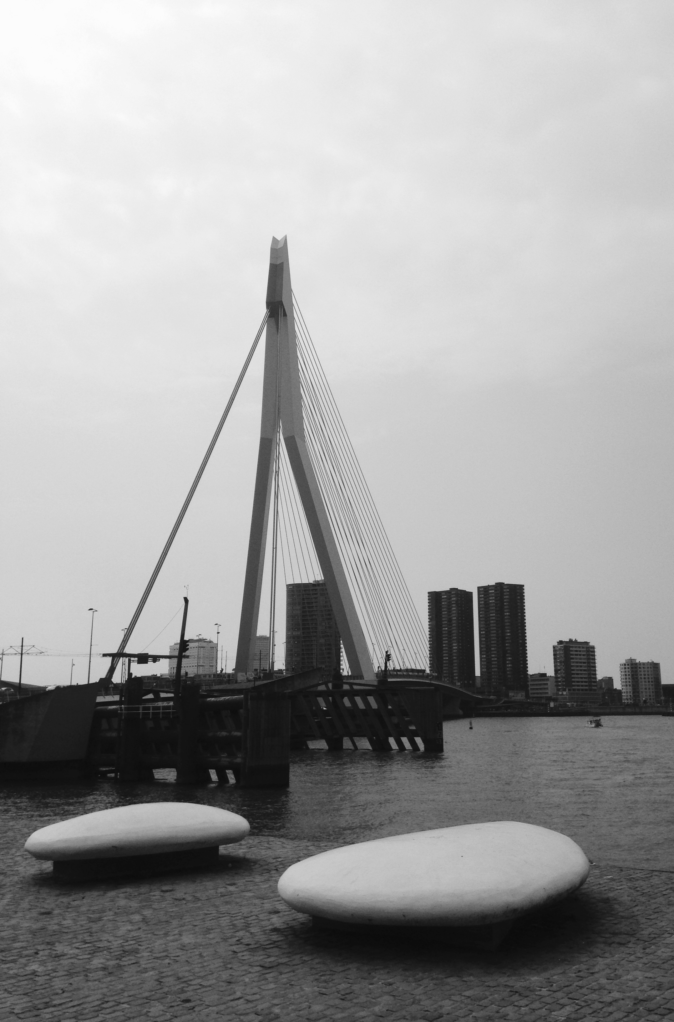 erasmusbrug-7