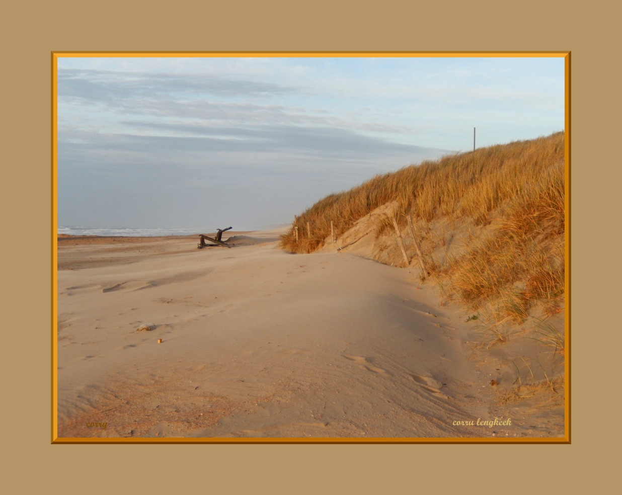23-dec-2014-wijk-aan-zee