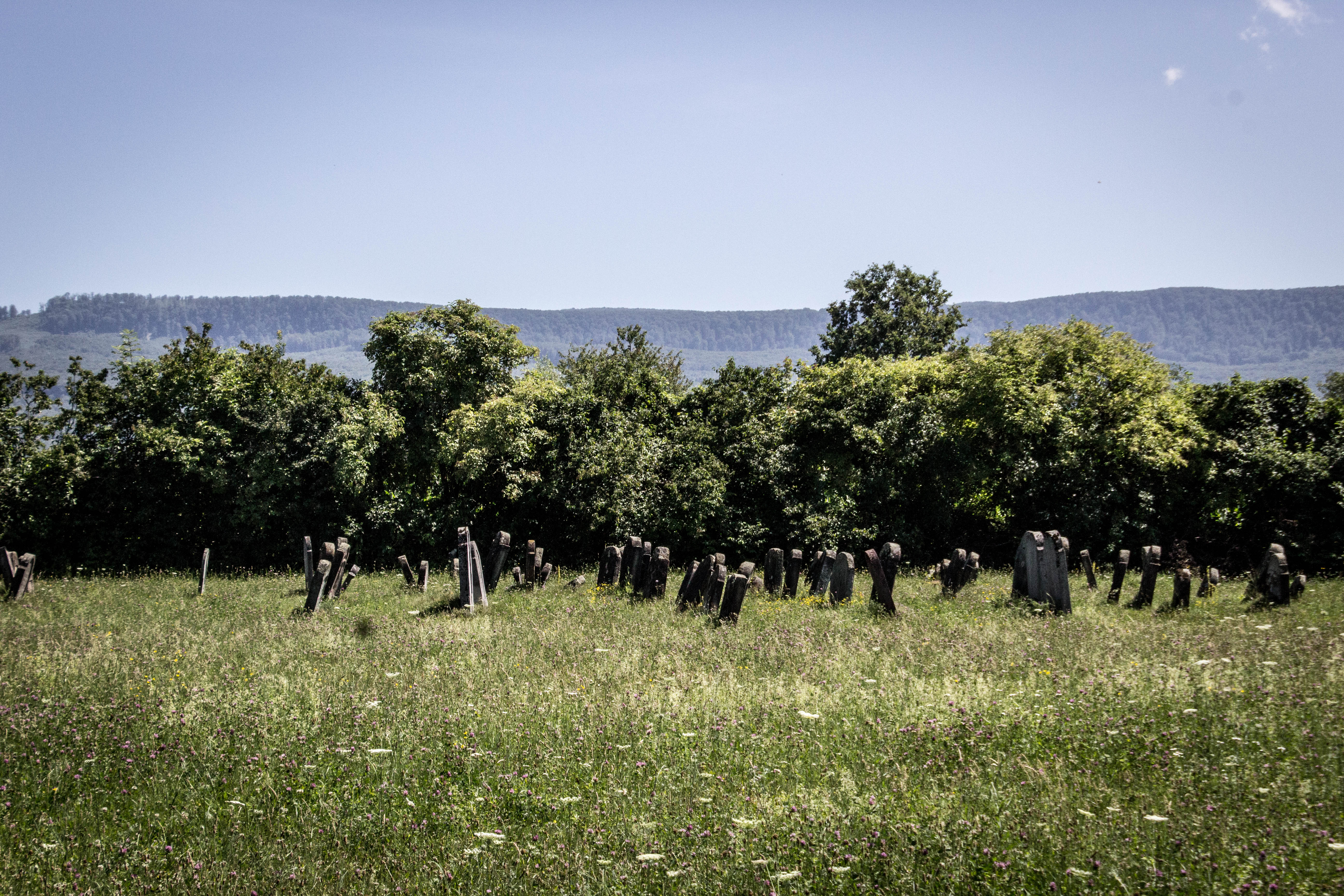 the-jewish-cemetery-of-sapanta