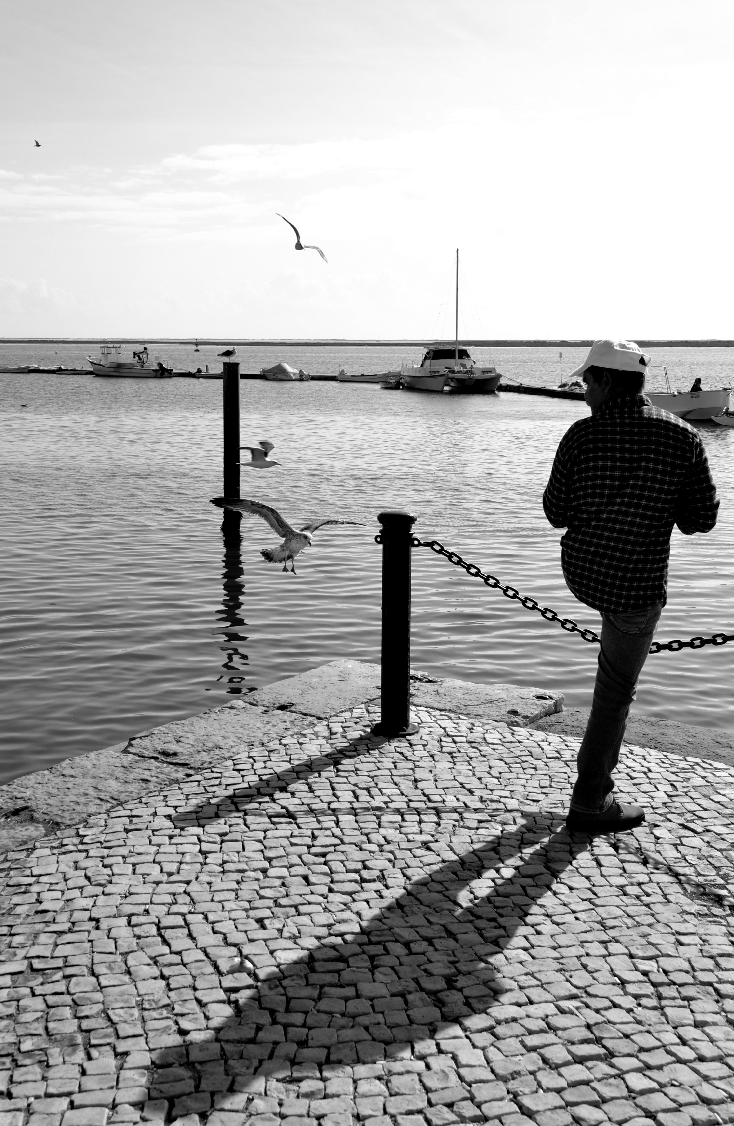 visser-op-de-markt-in-portugal
