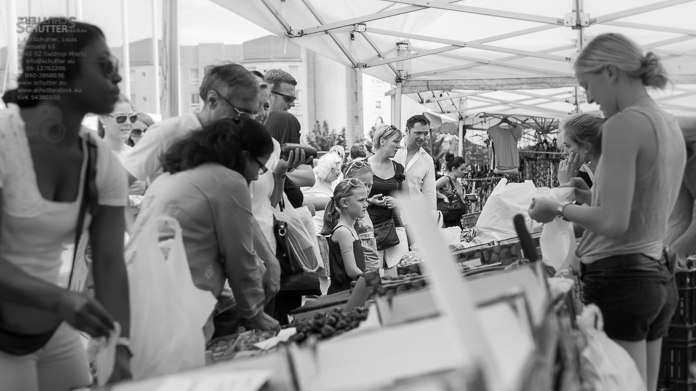 antwerp-whitsunday-02