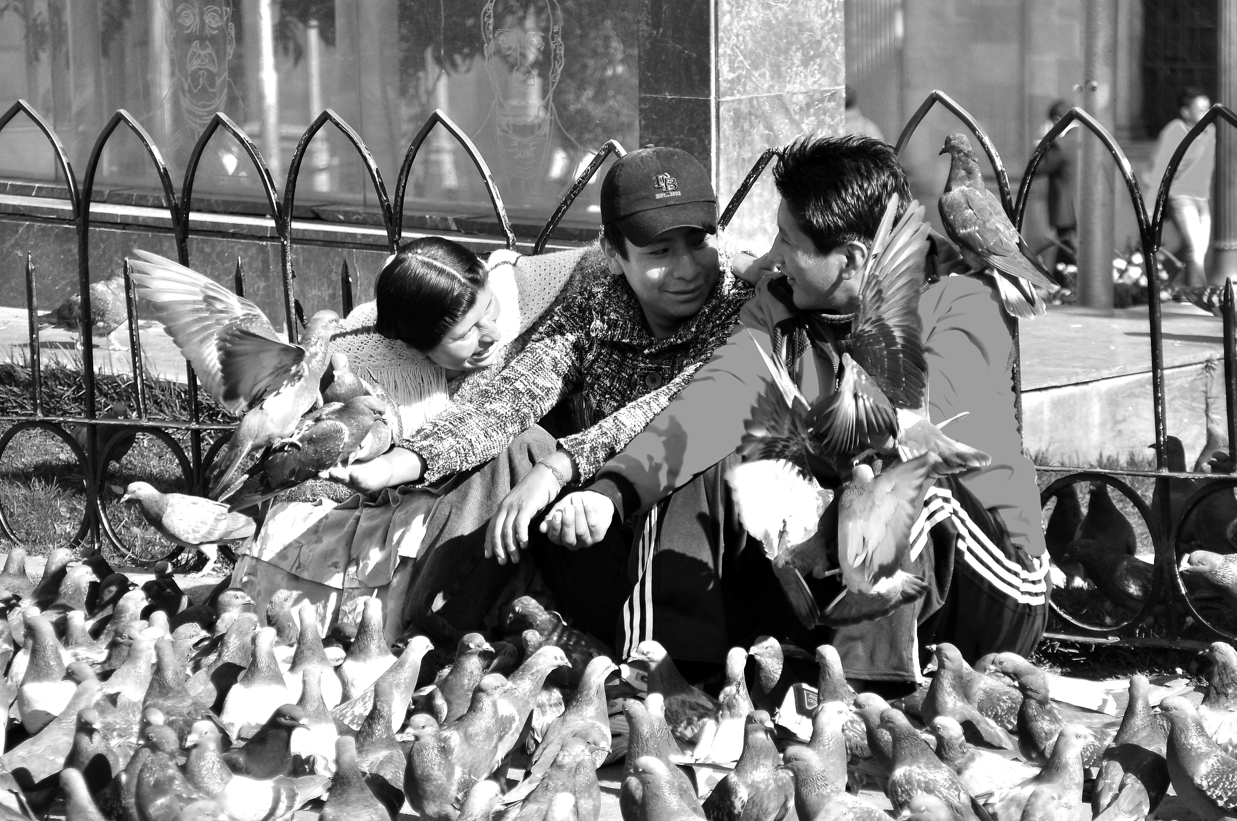 alle-duifjes-op-de-dam