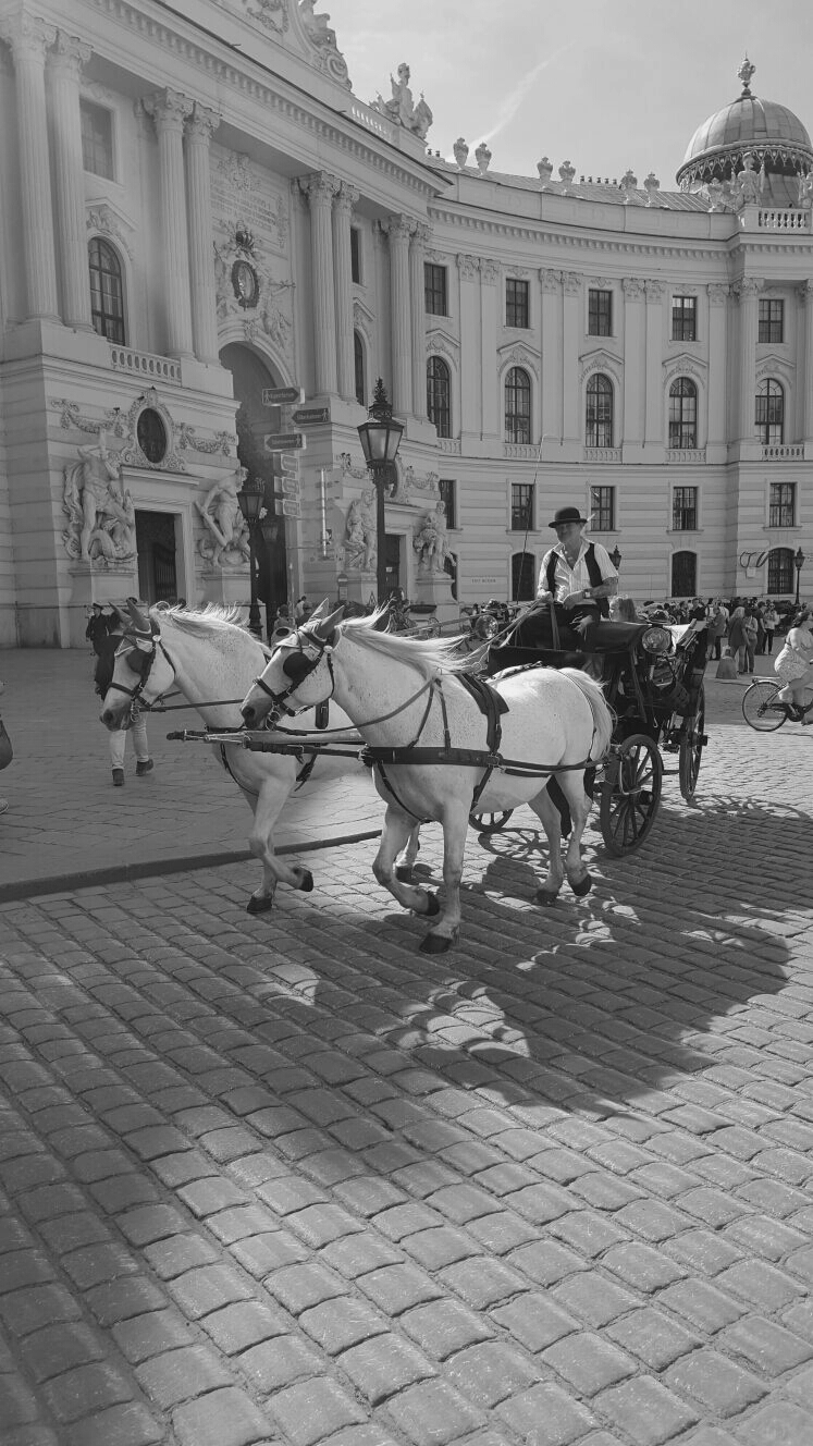 hofburg-vienna
