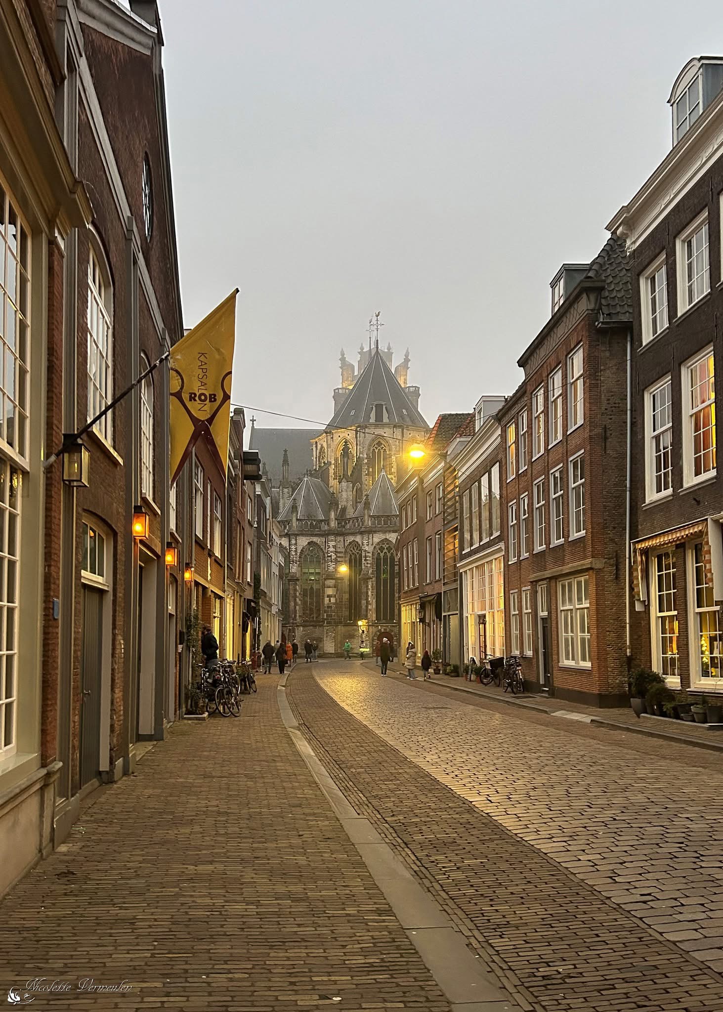 een-mistige-namiddag-in-dordrecht