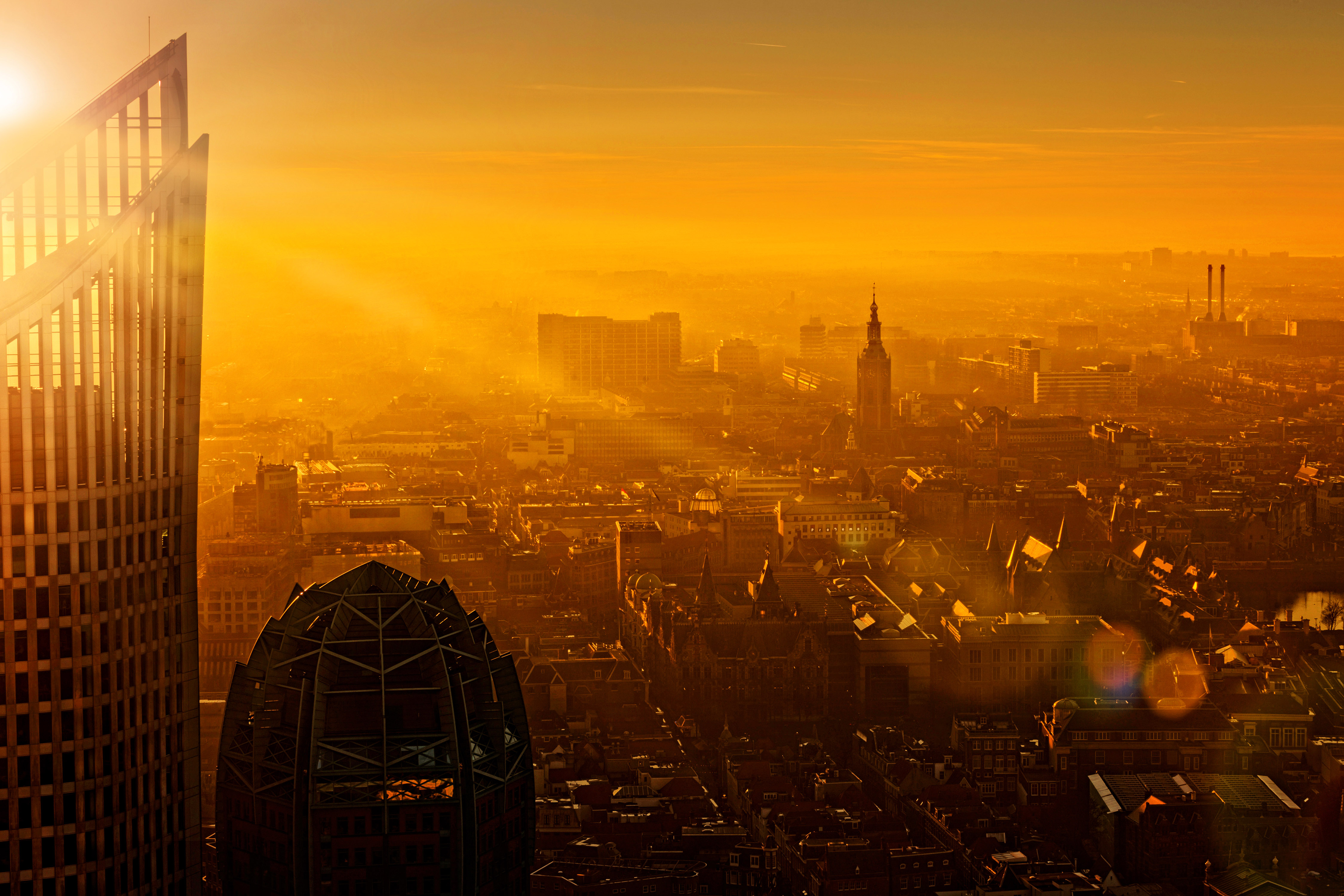 den-haag-kleurt-oranje