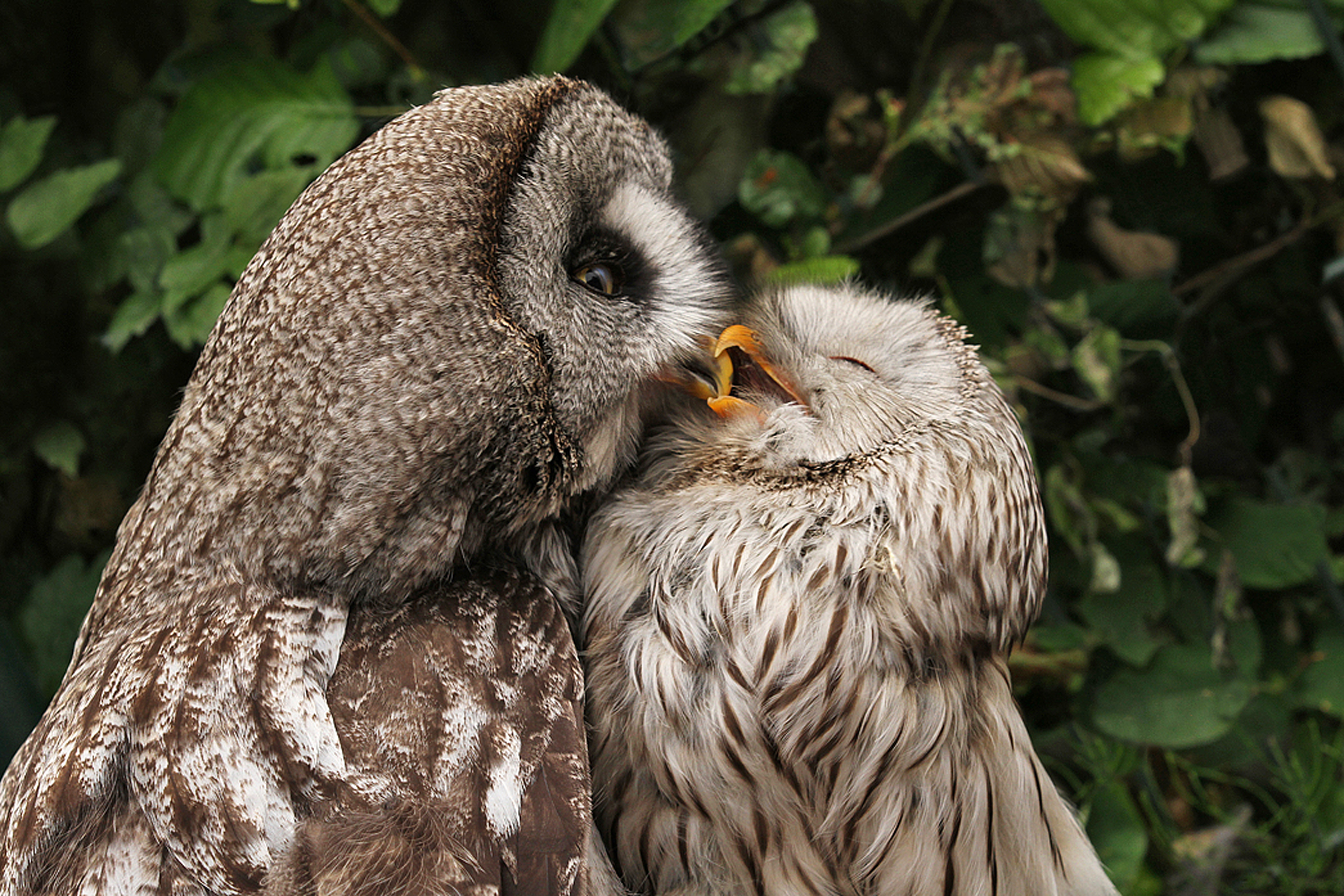 from-russia-with-love