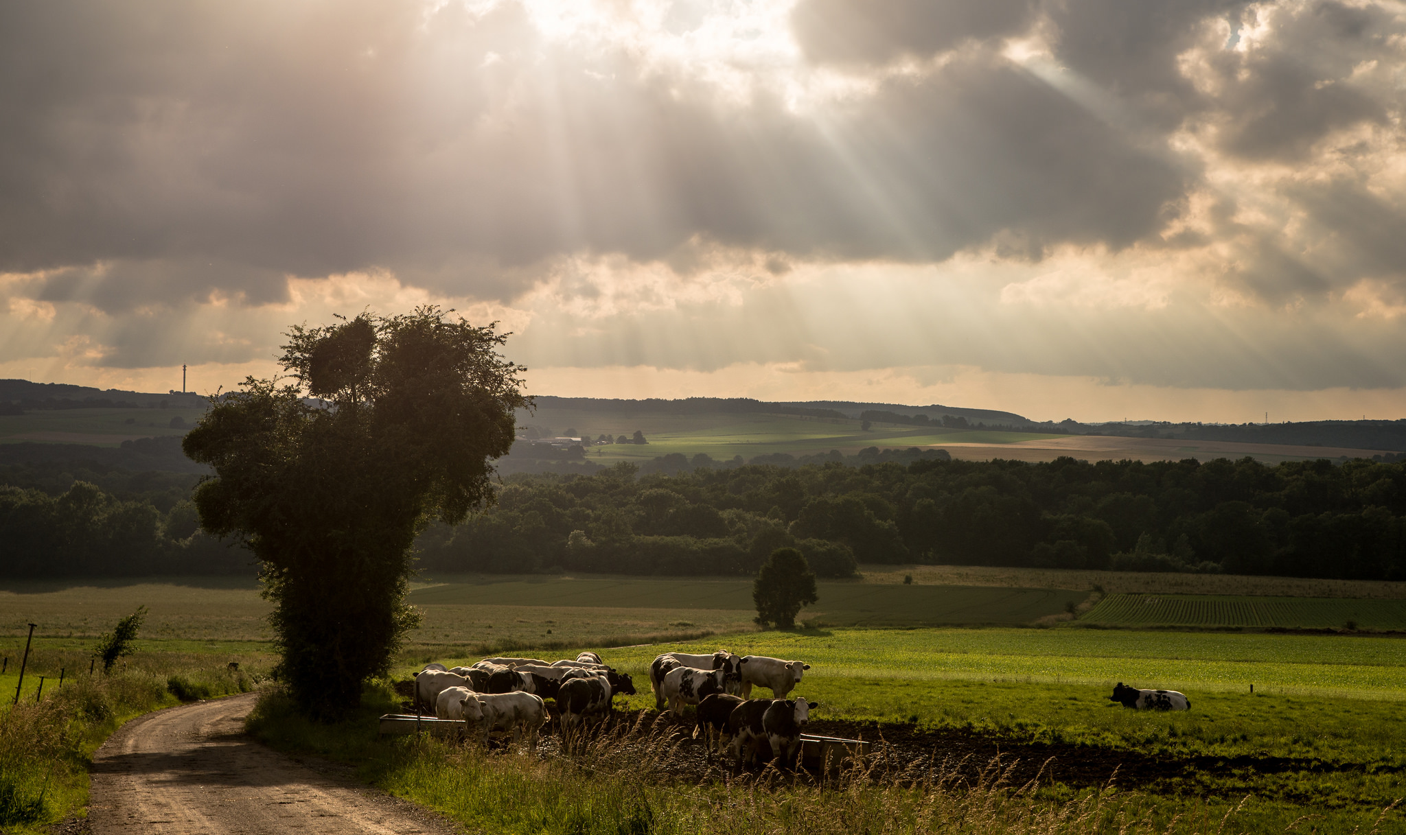 evening-falls-over-bomal-belgium