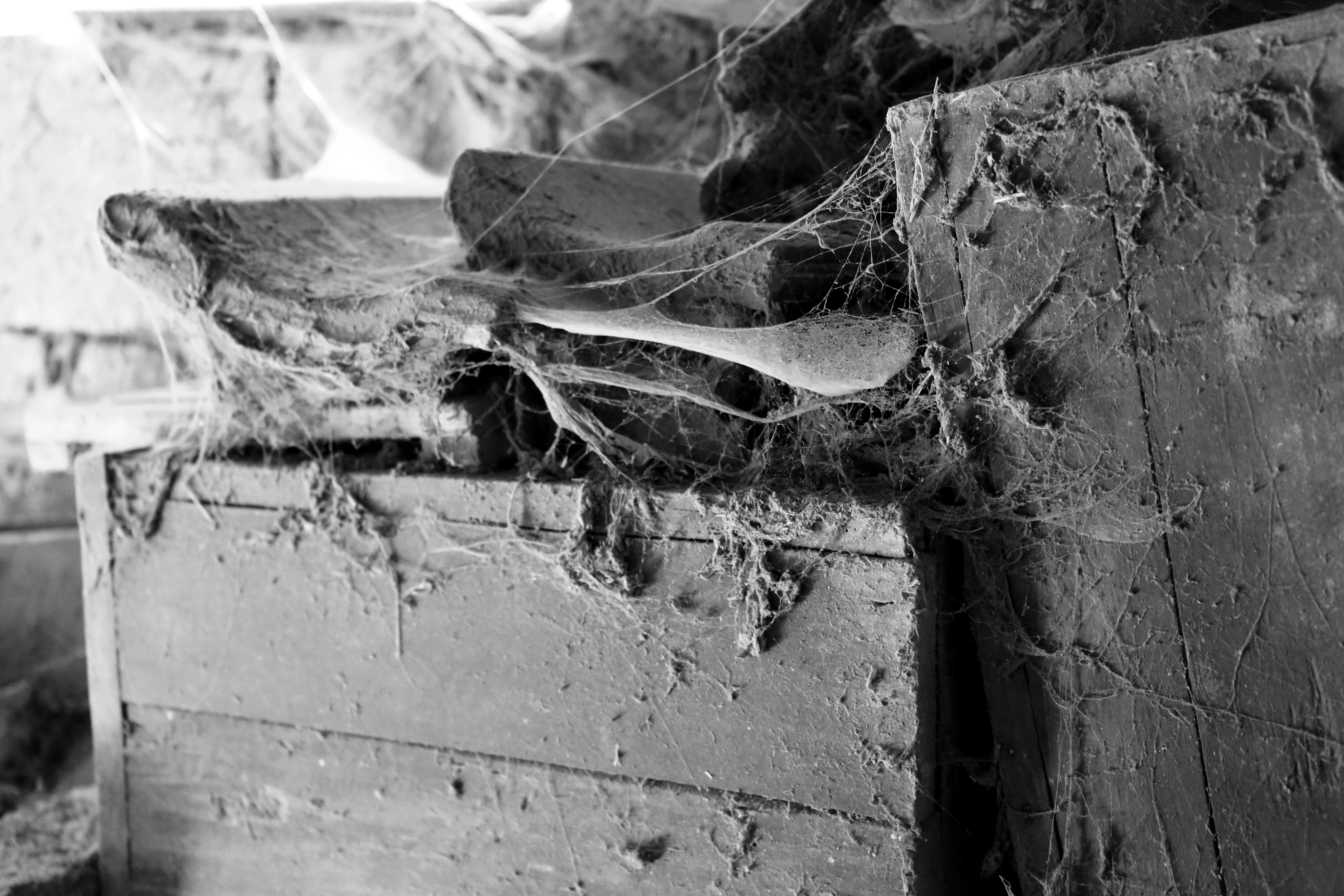 schuur-op-een-boerderij-in-het-schwarzwald