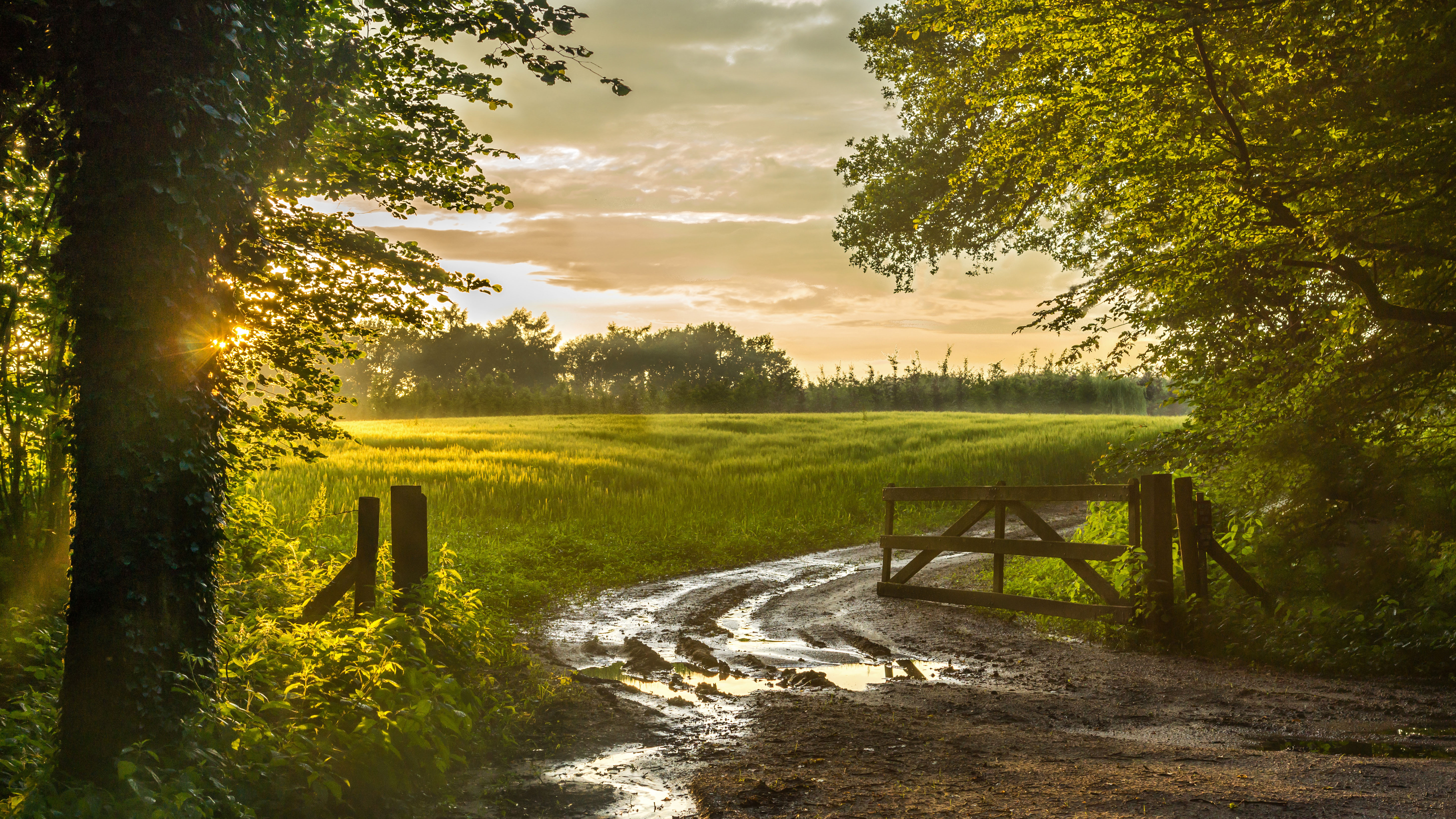 avondlicht-omgeving-winterswijk