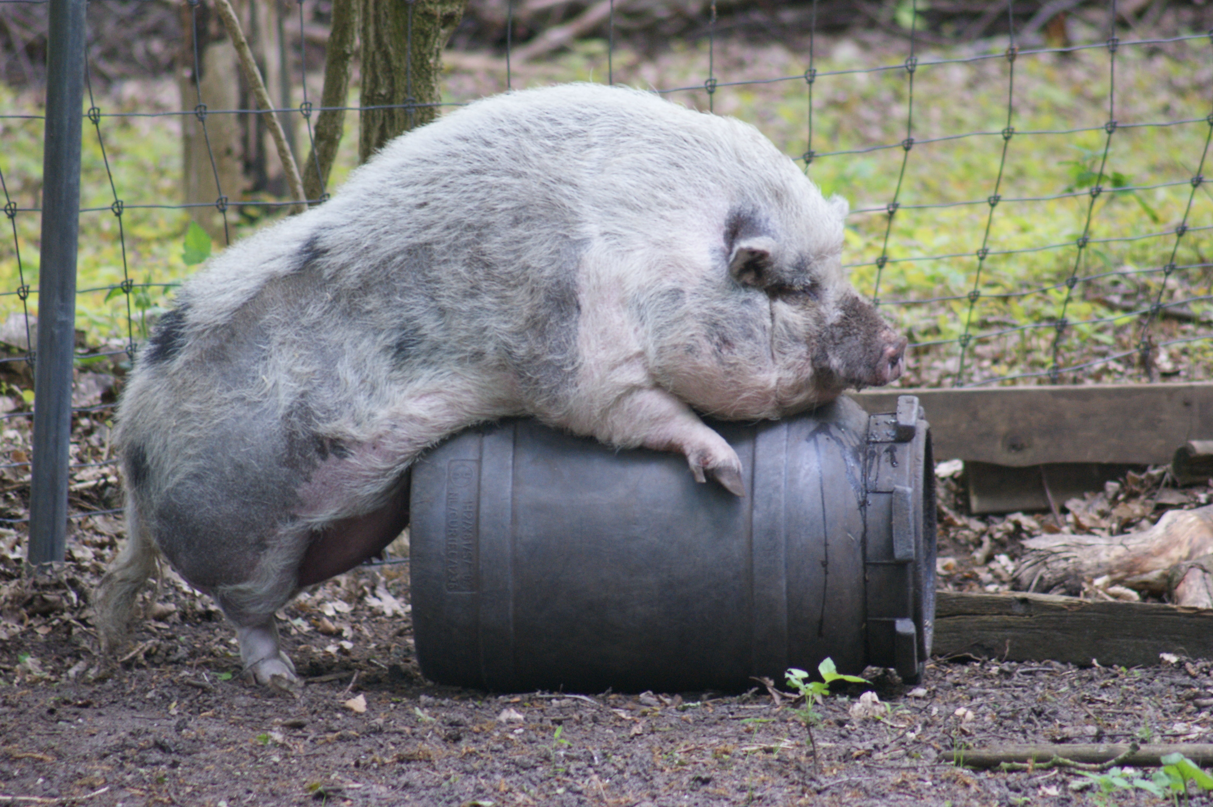 leave-me-alone-im-tired