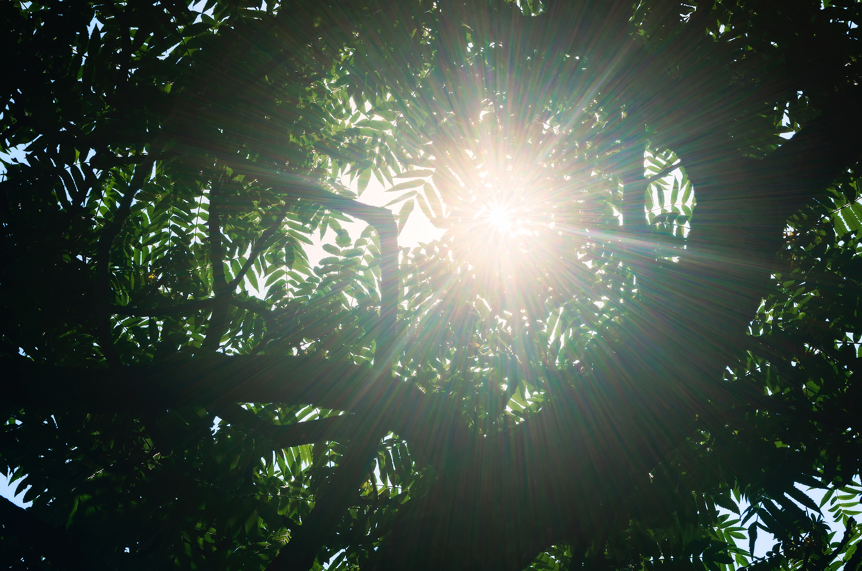 kleurenspectrum-van-een-zonnestraal