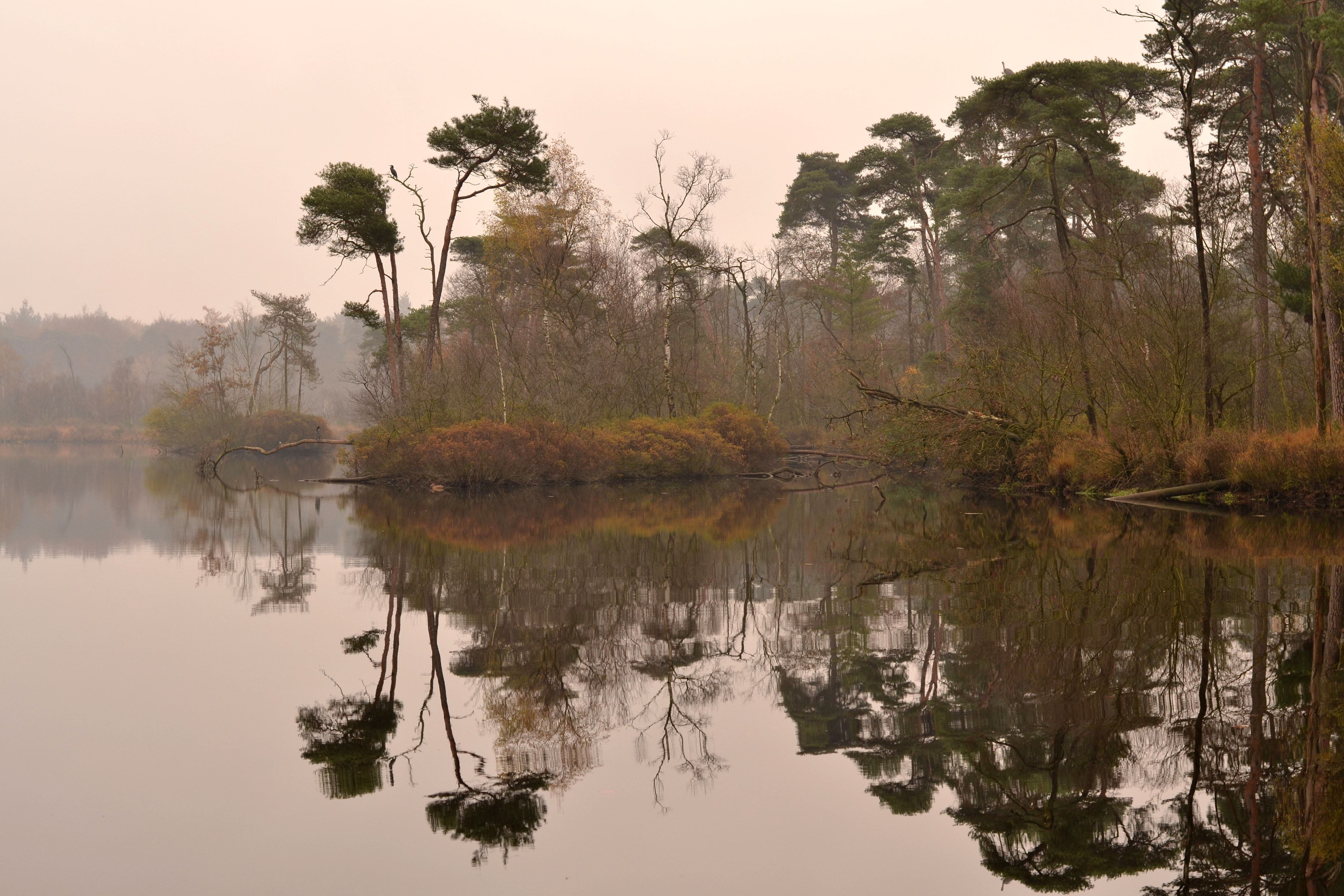 komt-de-zon-wel-of-niet-erdoor