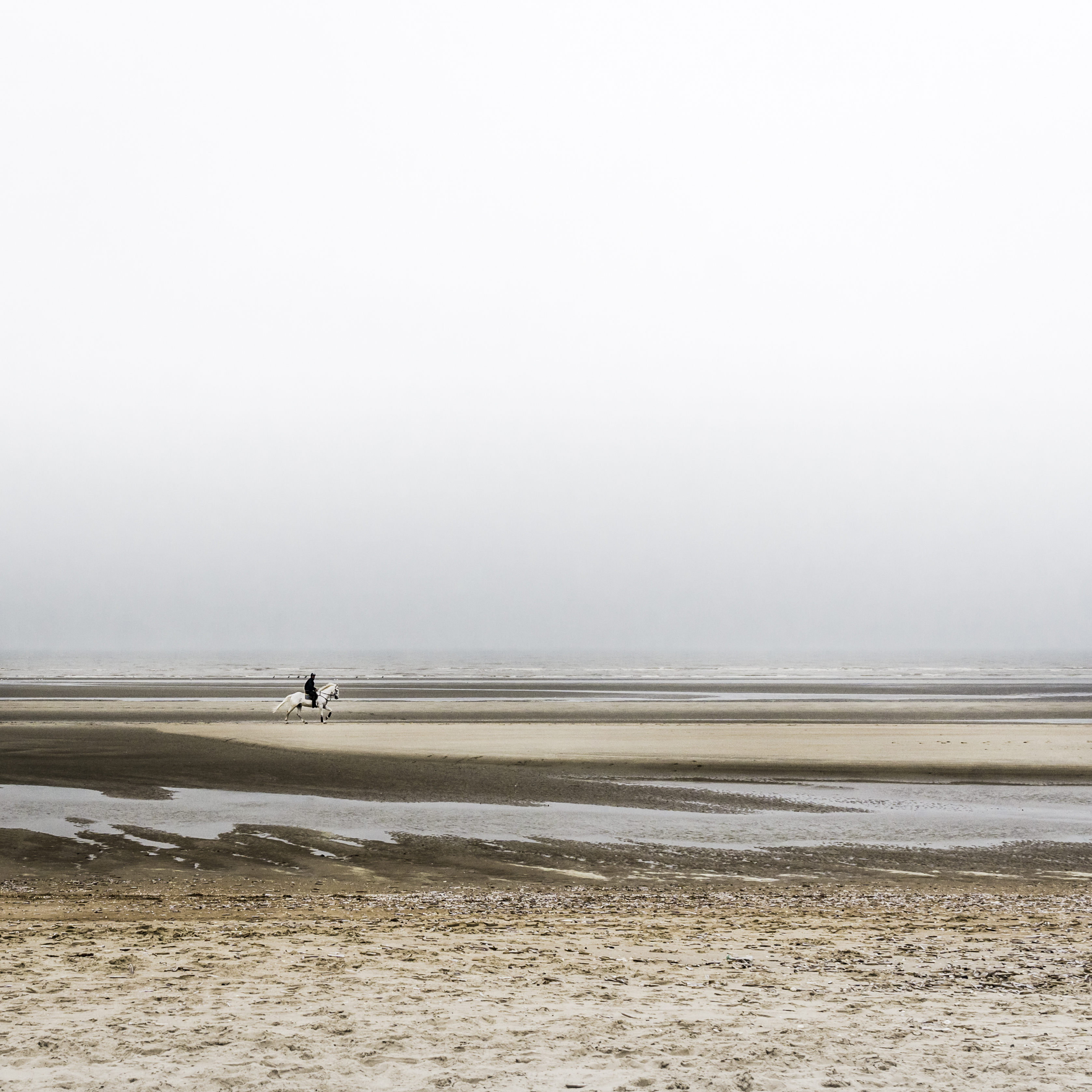 enthusiasm-is-thicker-than-water