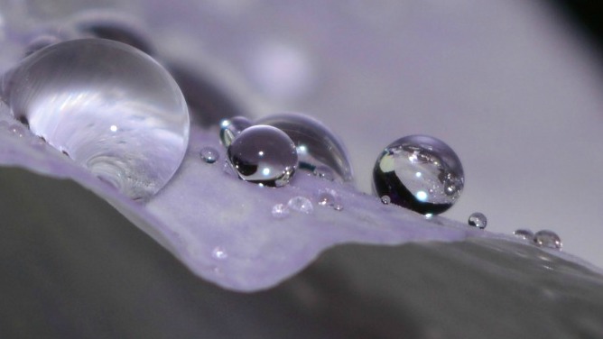 na-een-voorjaarsbuitje