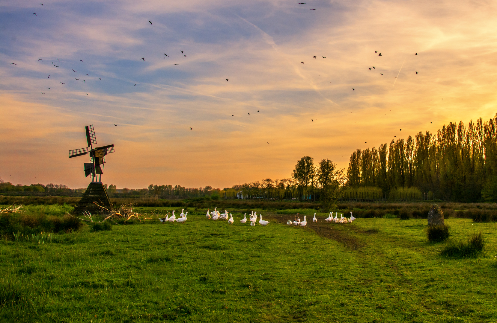 voorjaarsspektakel-polderpark-cronesteyn-leiden