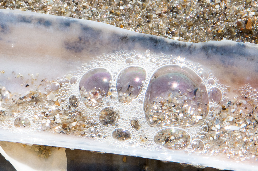 bubbels-in-een-schelp