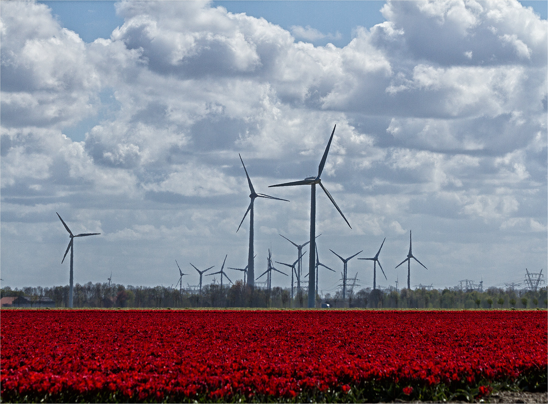 de-skyline-van-flevoland-in-het-voorjaar