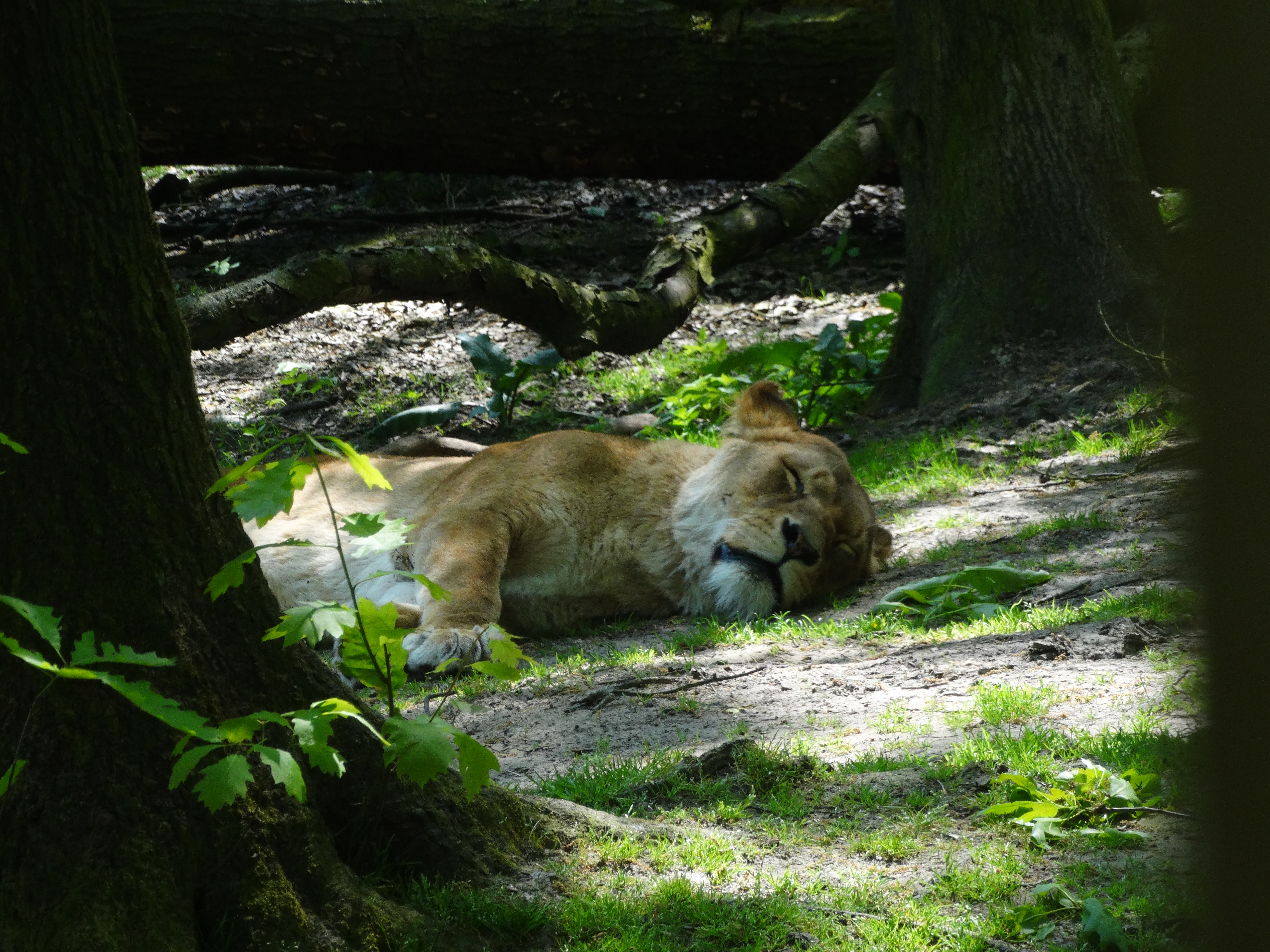 lekker-lui-in-de-bescheiden-lente-zon