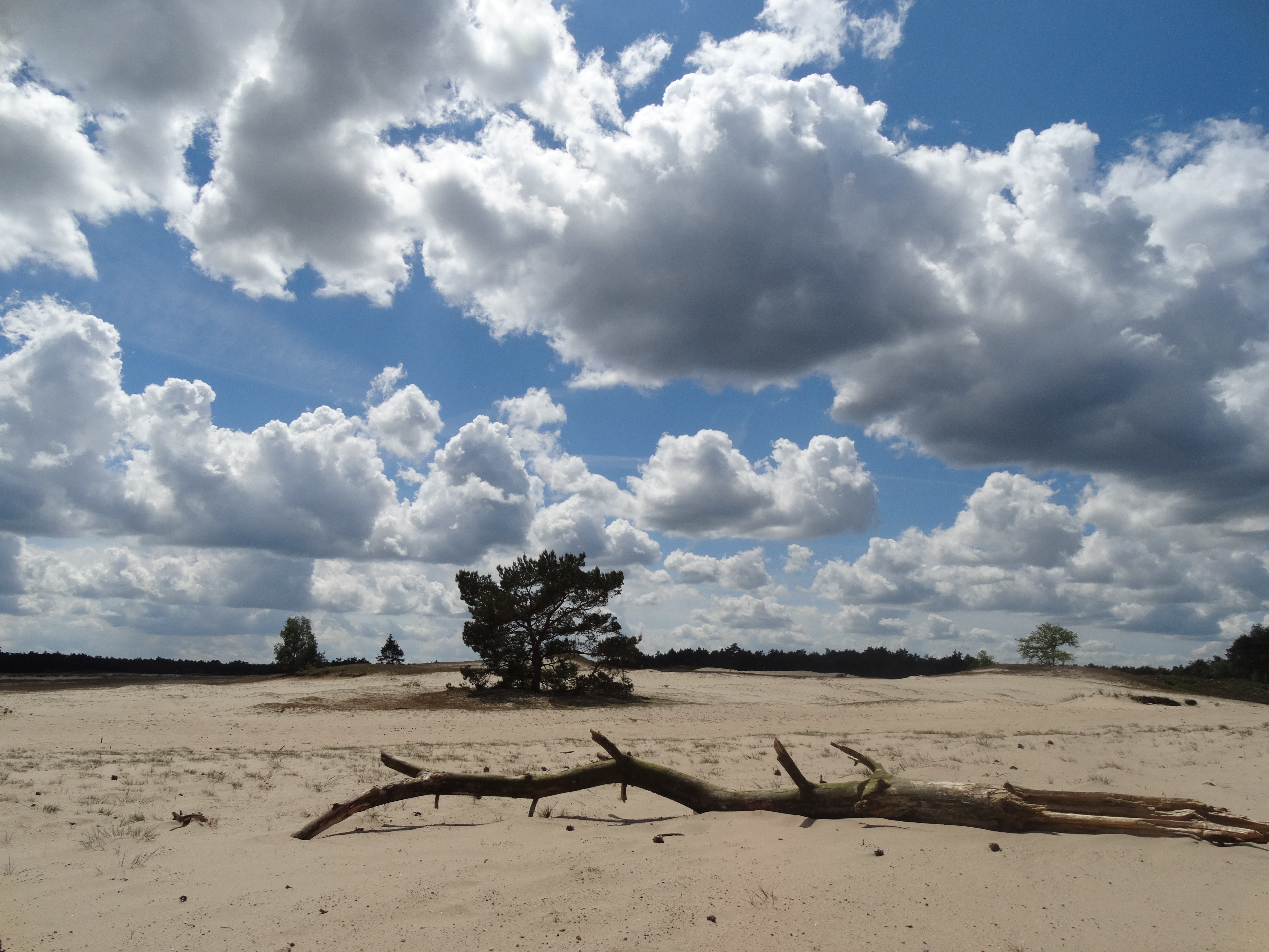 de-skyline-van-otterlo